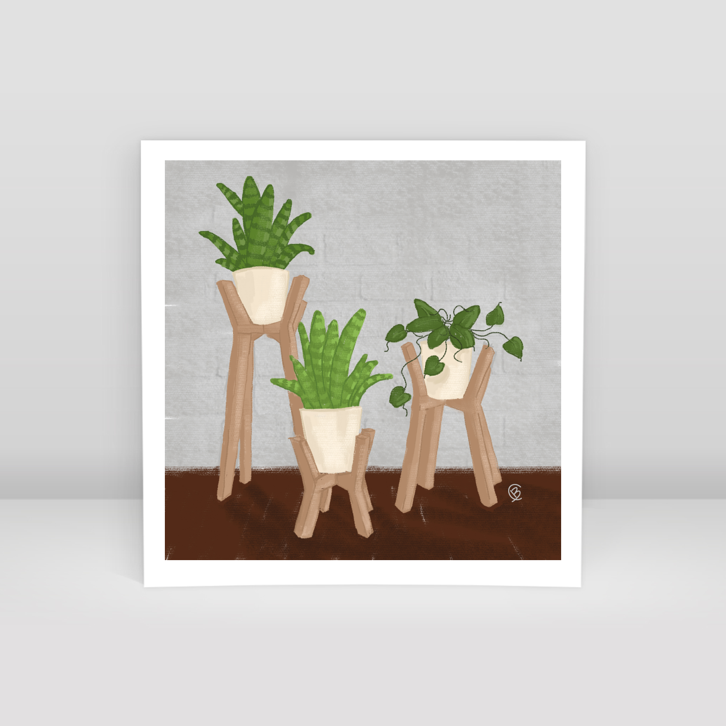 Plants in pots - Art Print