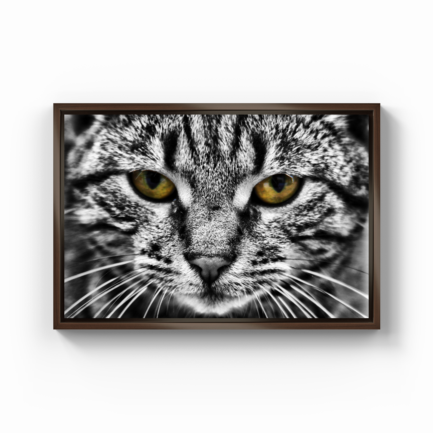 Bad Cat - Canvas Print