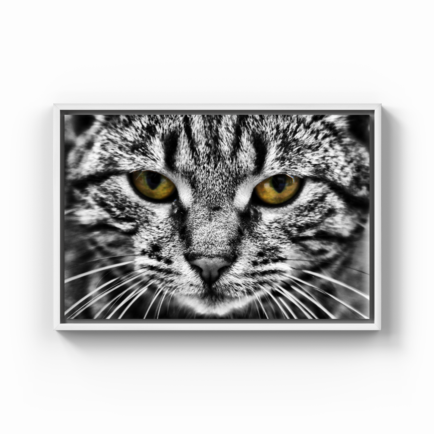 Bad Cat - Canvas Print