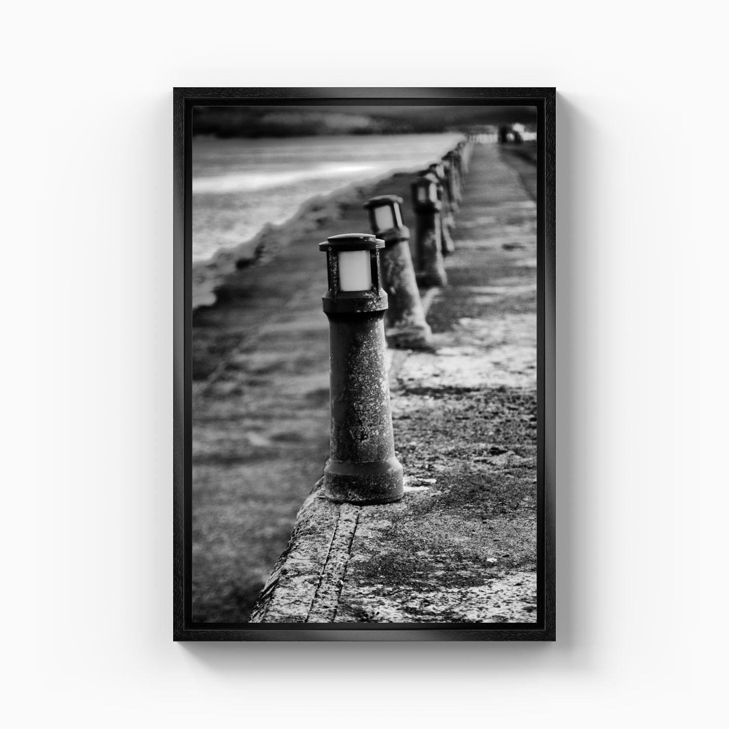 Port - Canvas Print