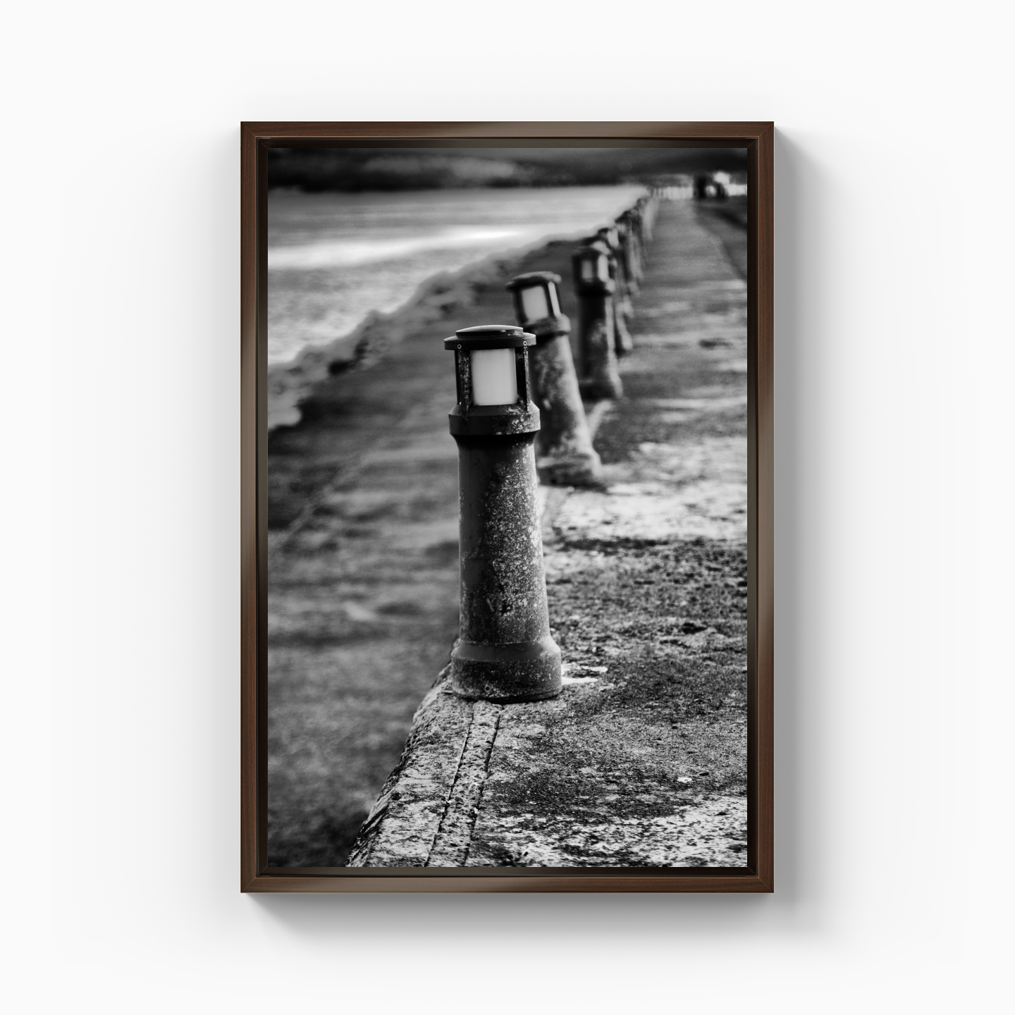 Port - Canvas Print