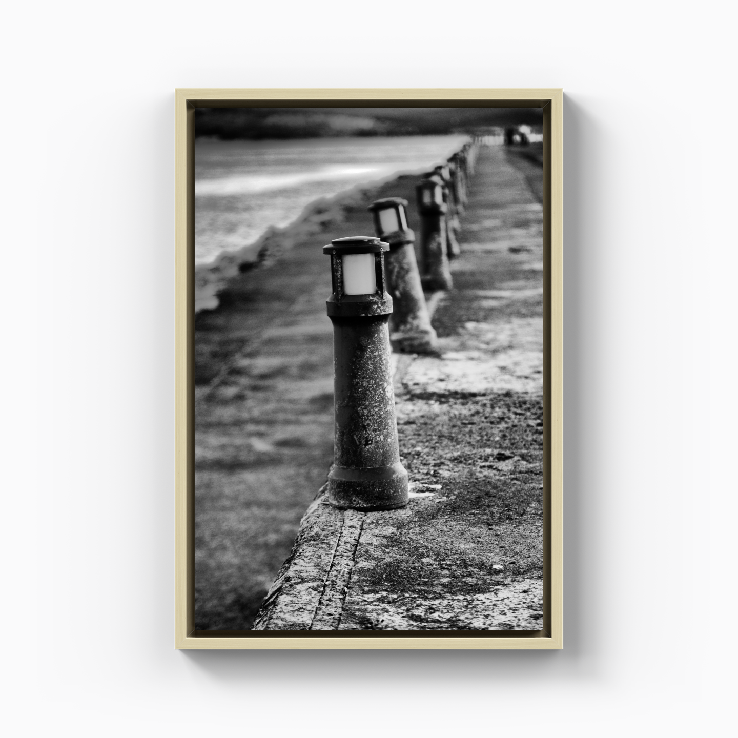 Port - Canvas Print