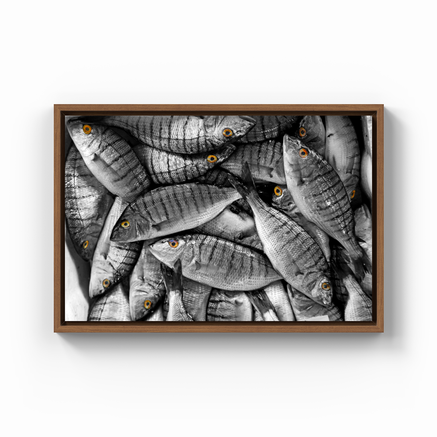 Fish - Canvas Painting