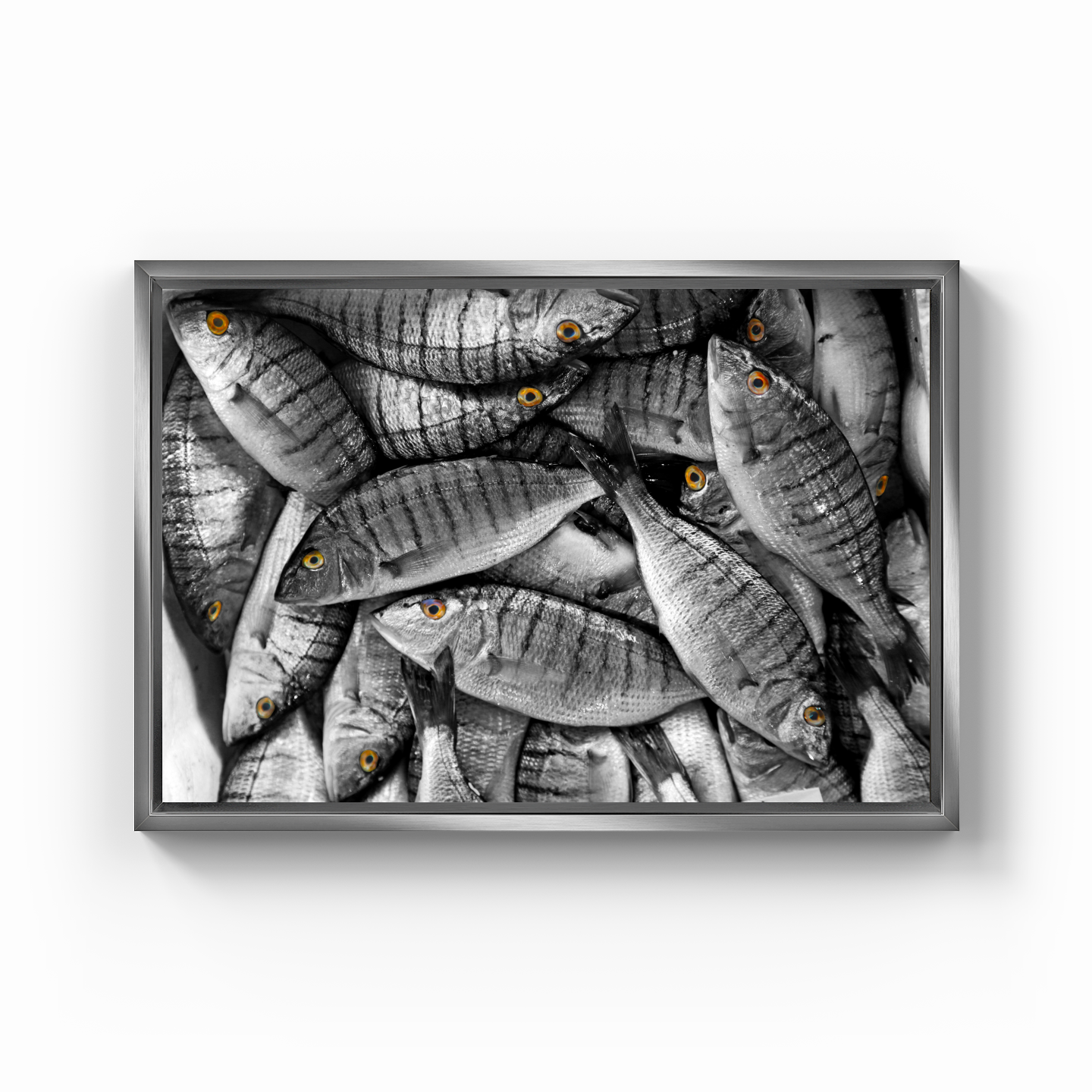 Fish - Canvas Painting