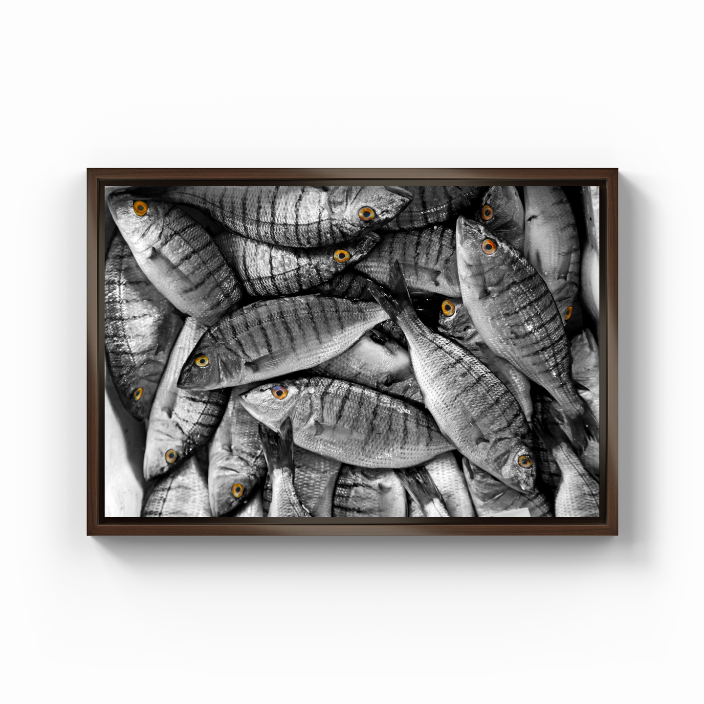 Fish - Canvas Painting