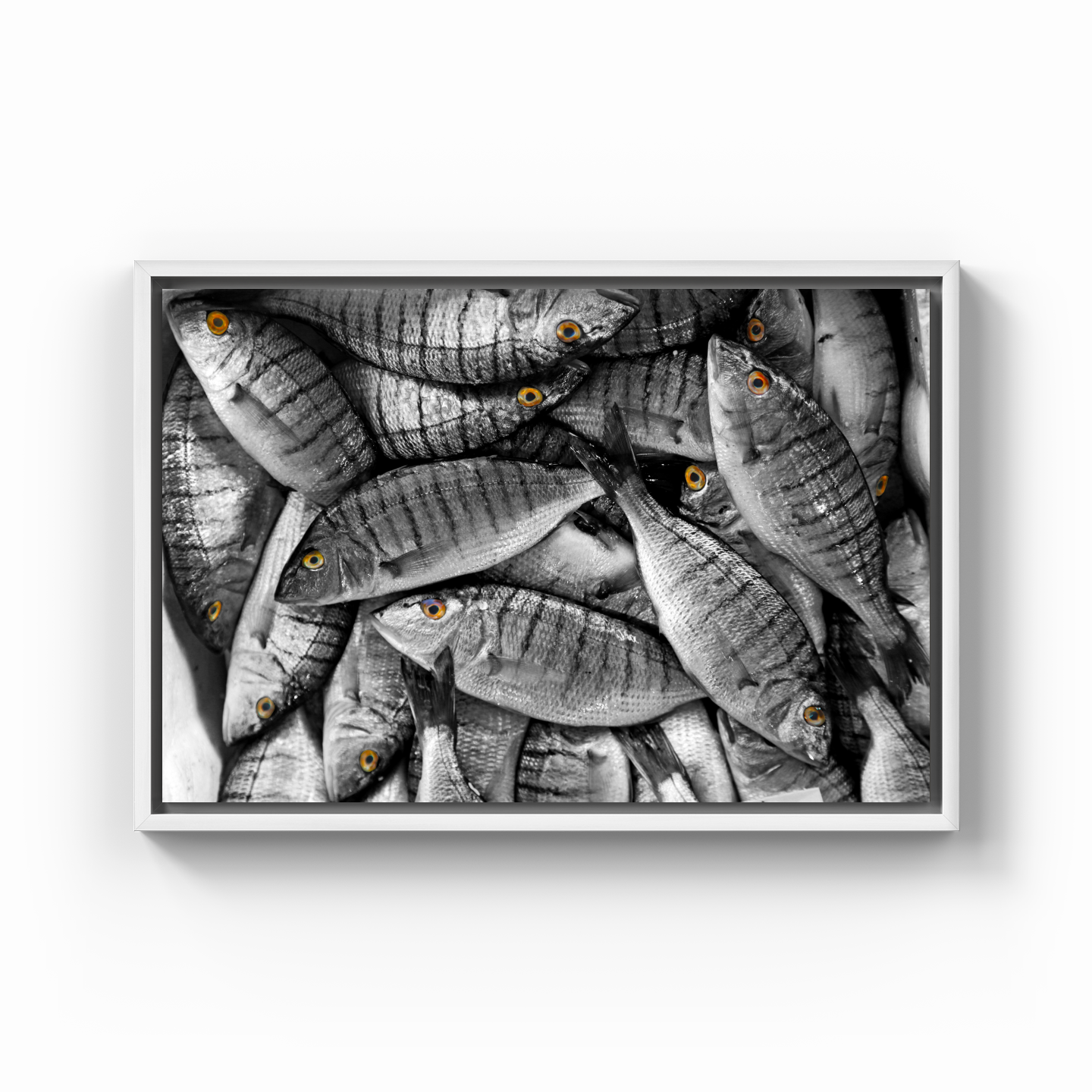 Fish - Canvas Painting