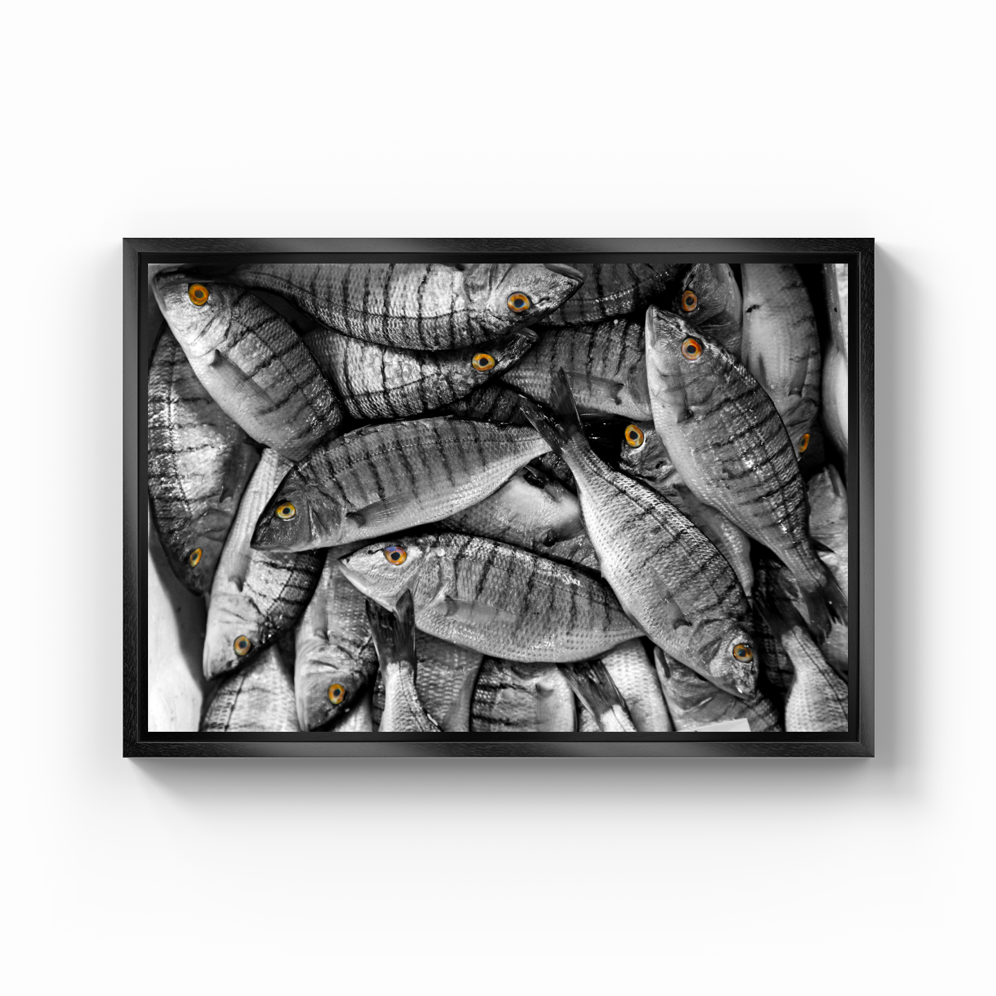 Fish - Canvas Painting