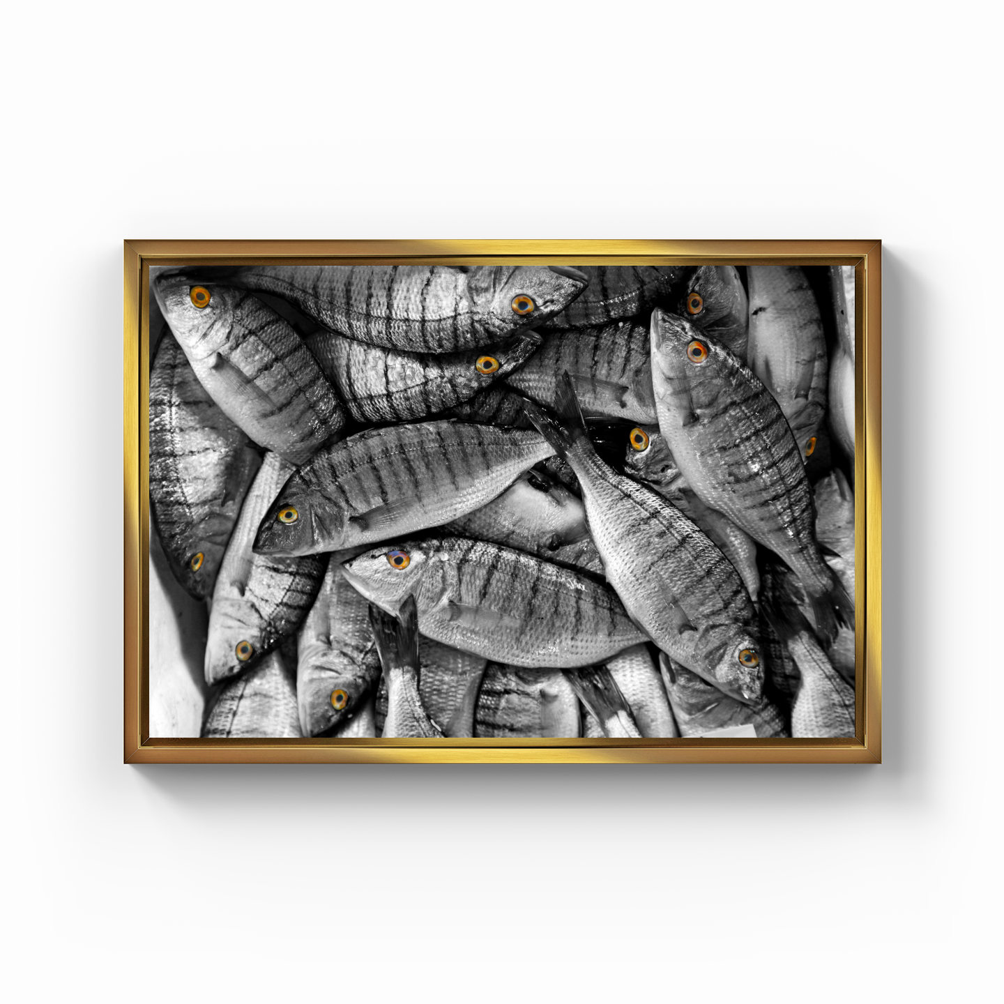 Fish - Canvas Painting