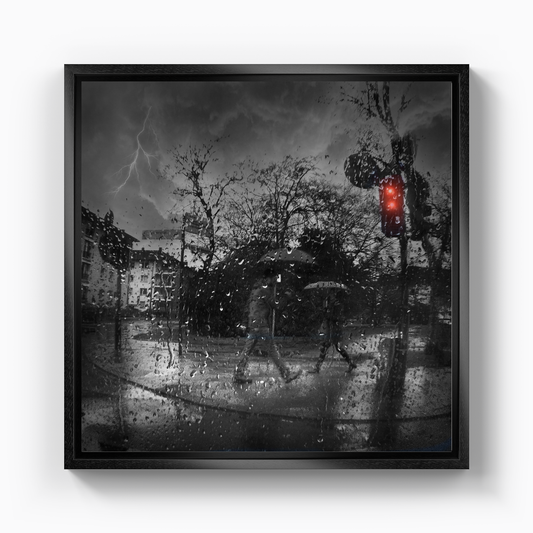 Rain - Canvas Print