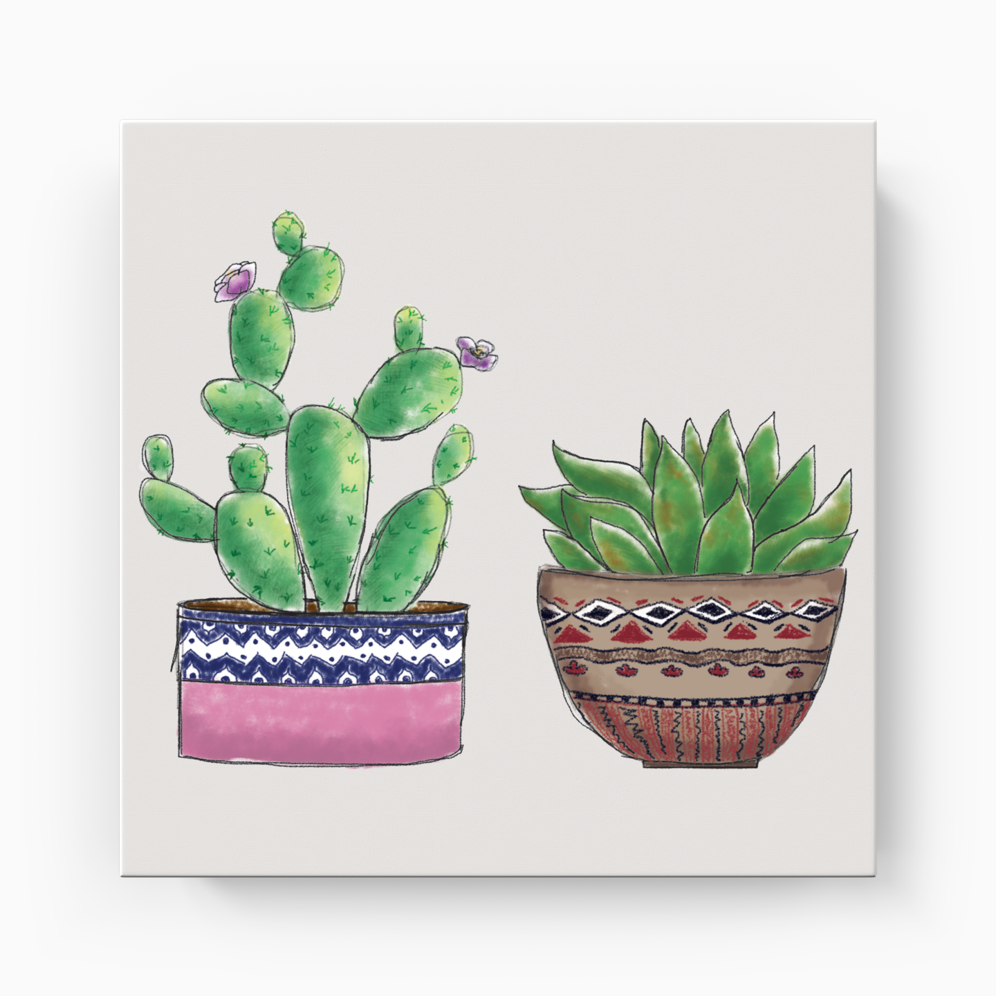 Succulent - Canvas Print