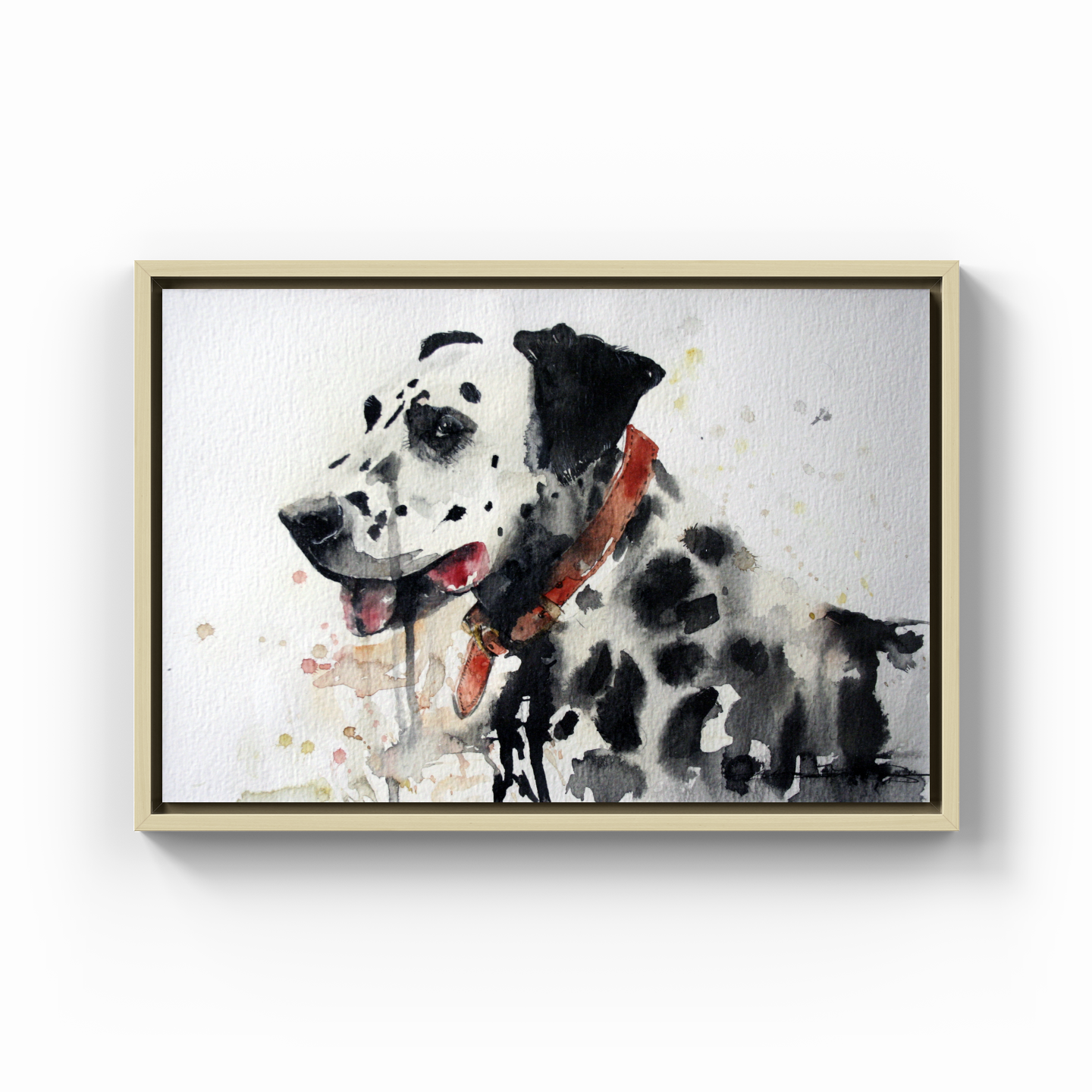 franco the dalmatian - Canvas Print