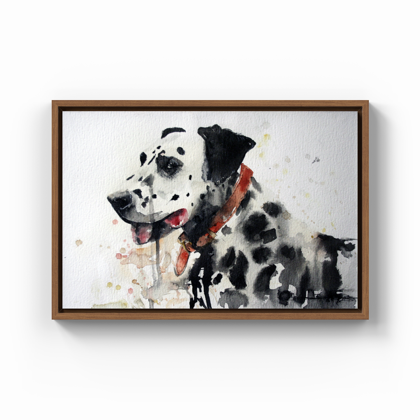 franco the dalmatian - Canvas Print