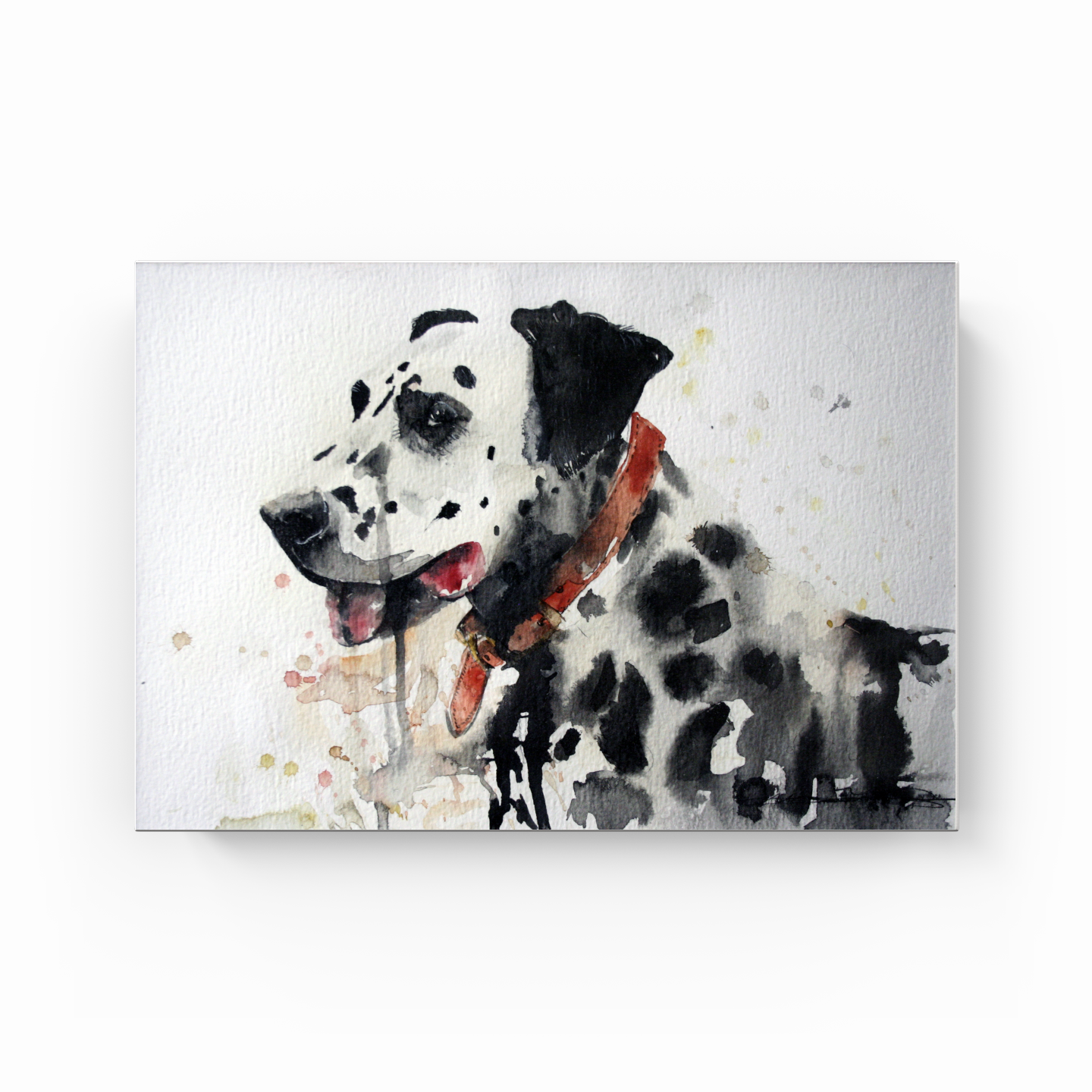 franco the dalmatian - Canvas Print