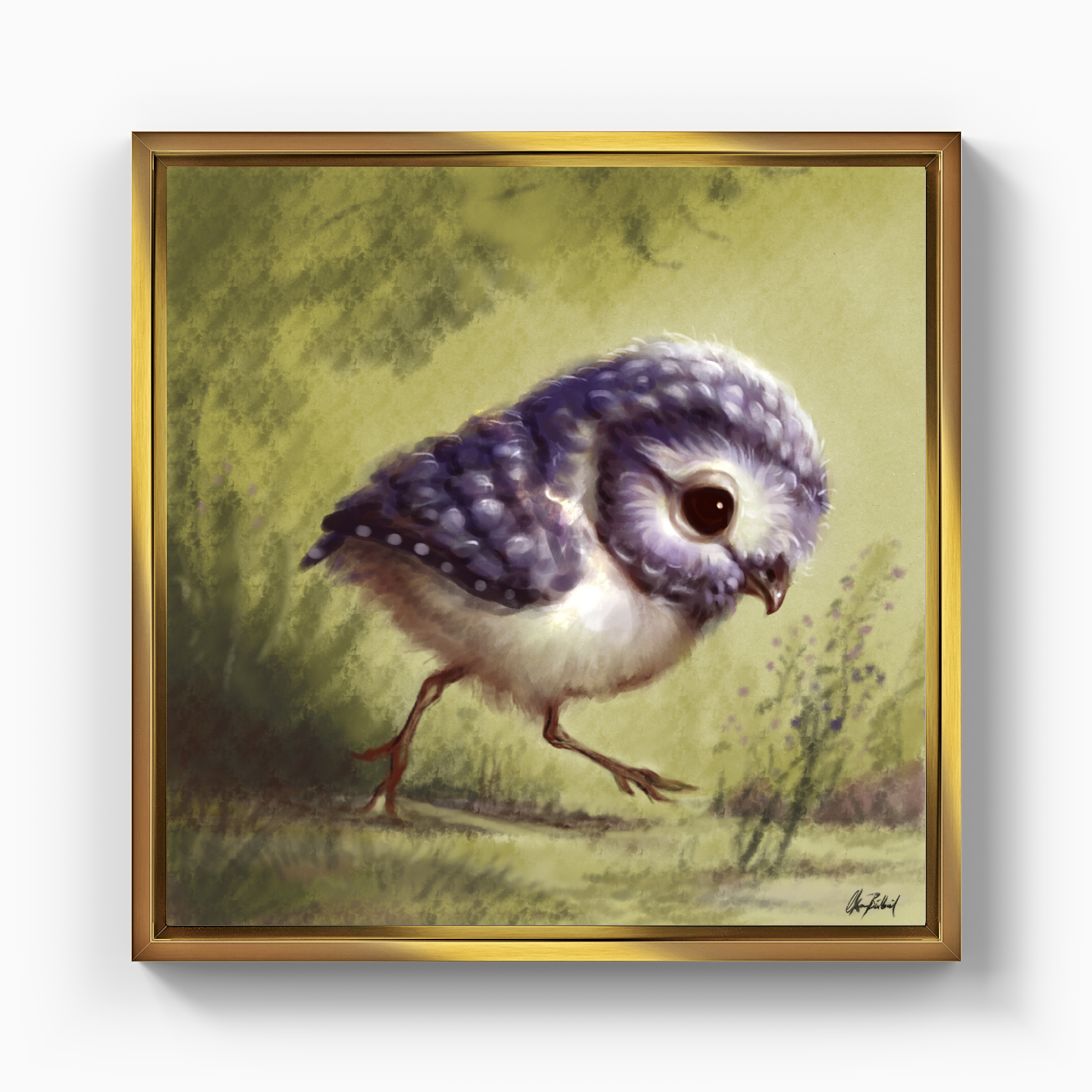 Little owl - Canvas Painting