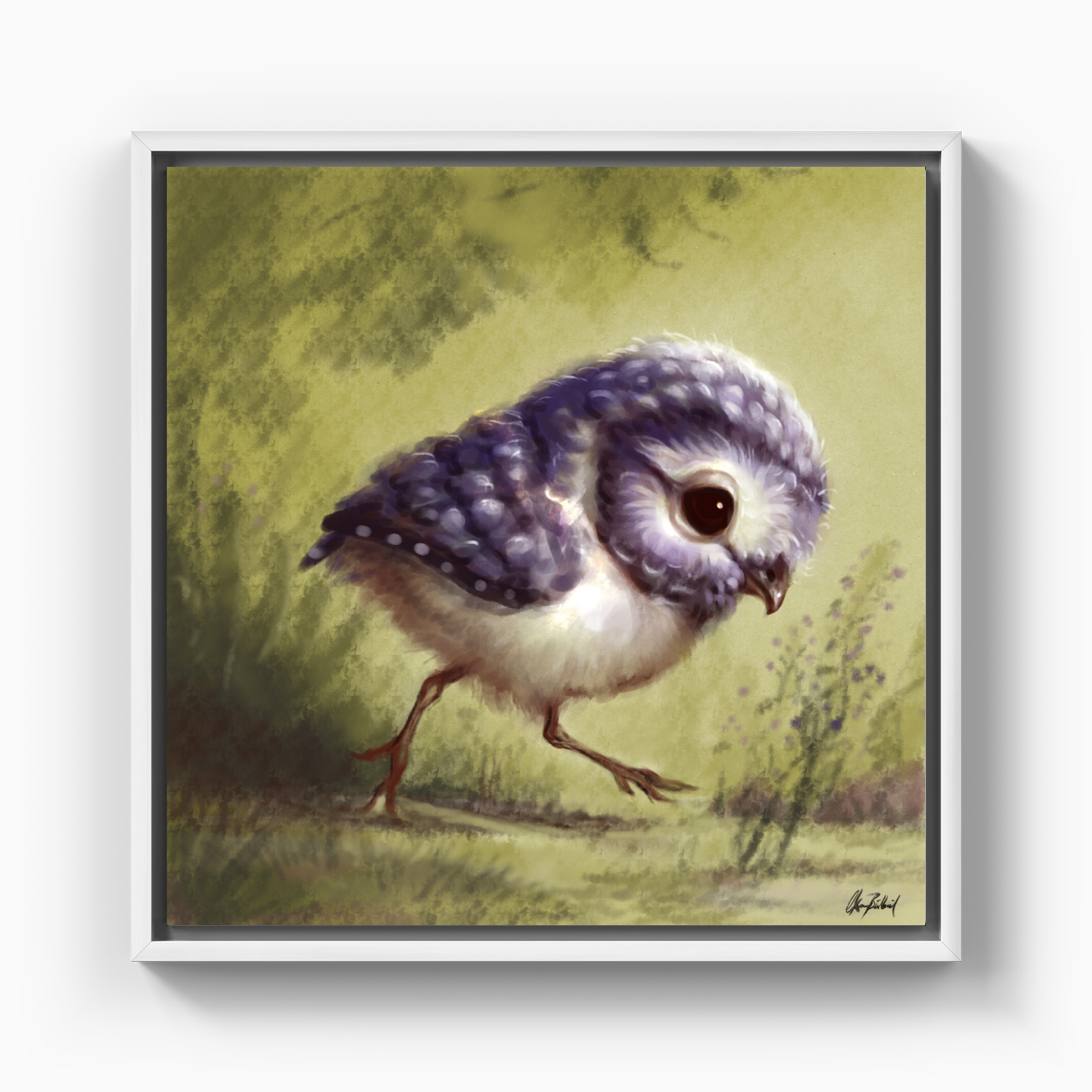 Little owl - Canvas Painting