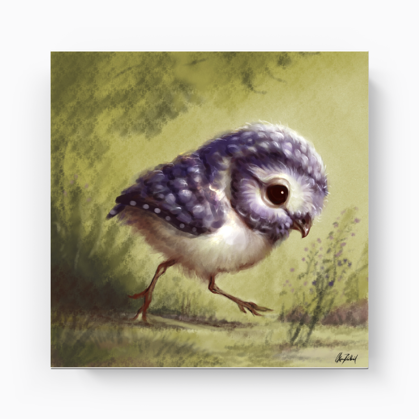 Little owl - Canvas Painting