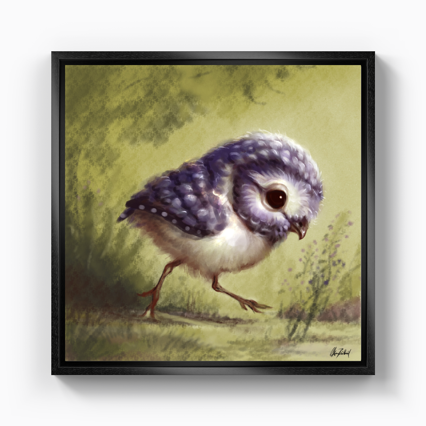 Little owl - Canvas Painting