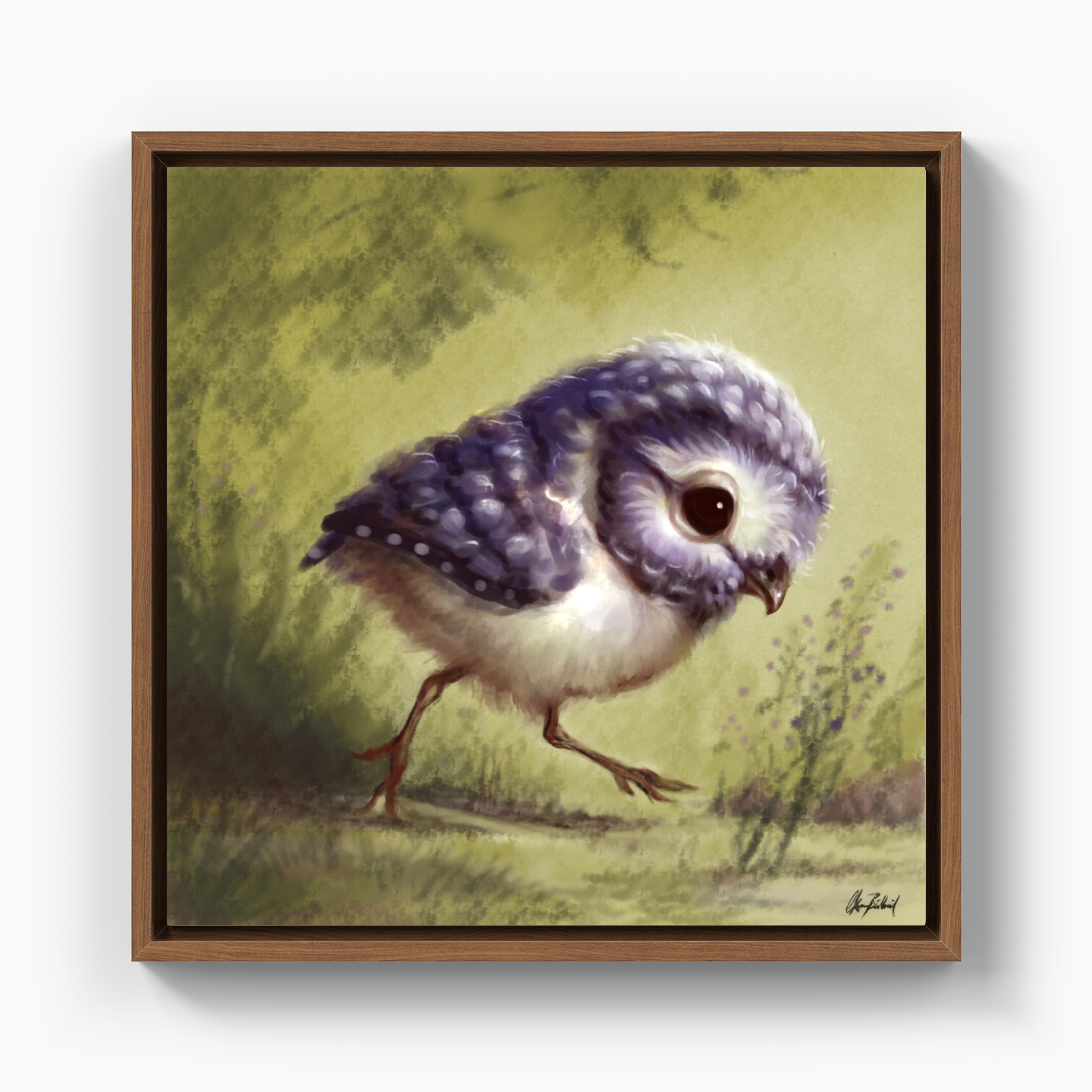 Little owl - Canvas Painting