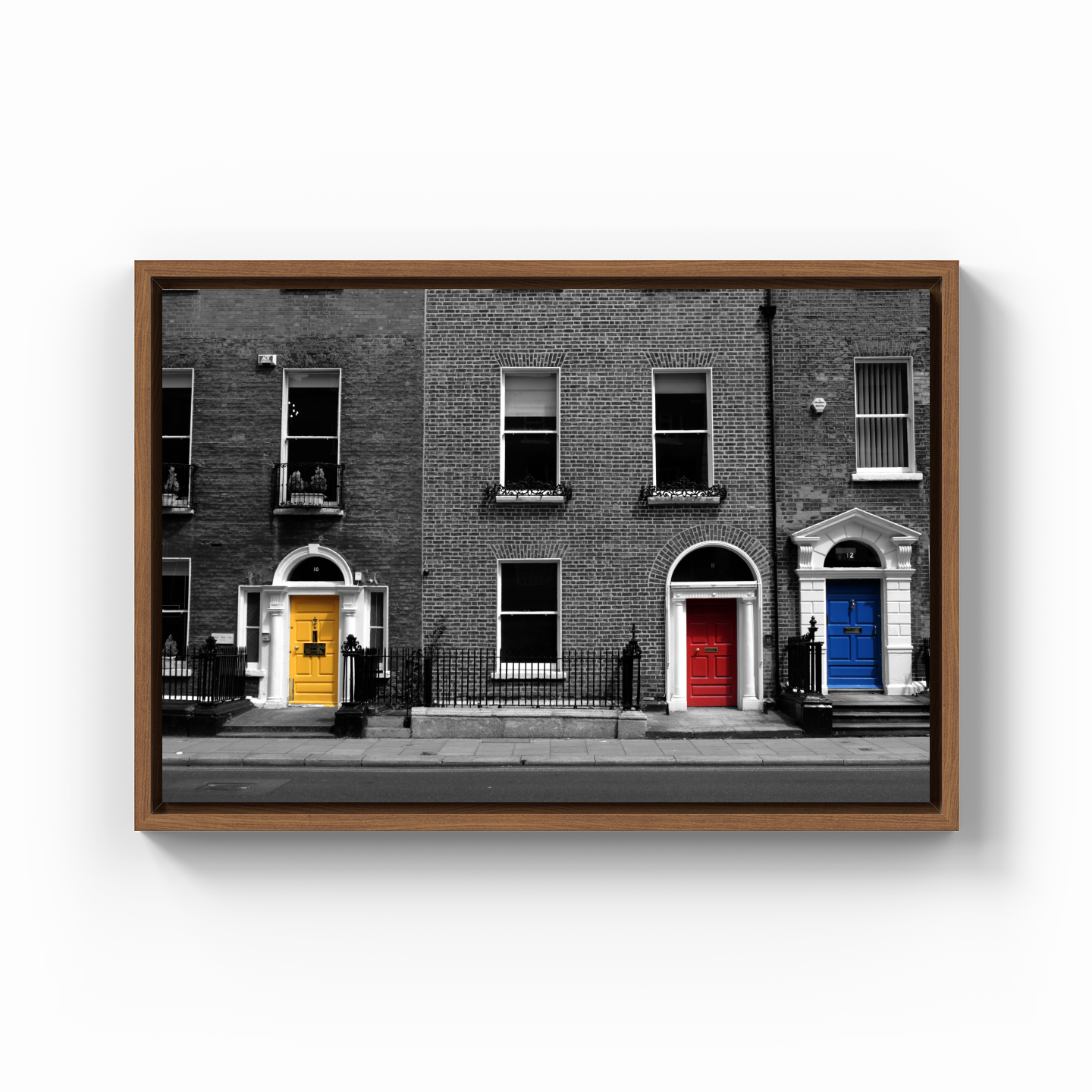 Georgian Doors - Canvas Print