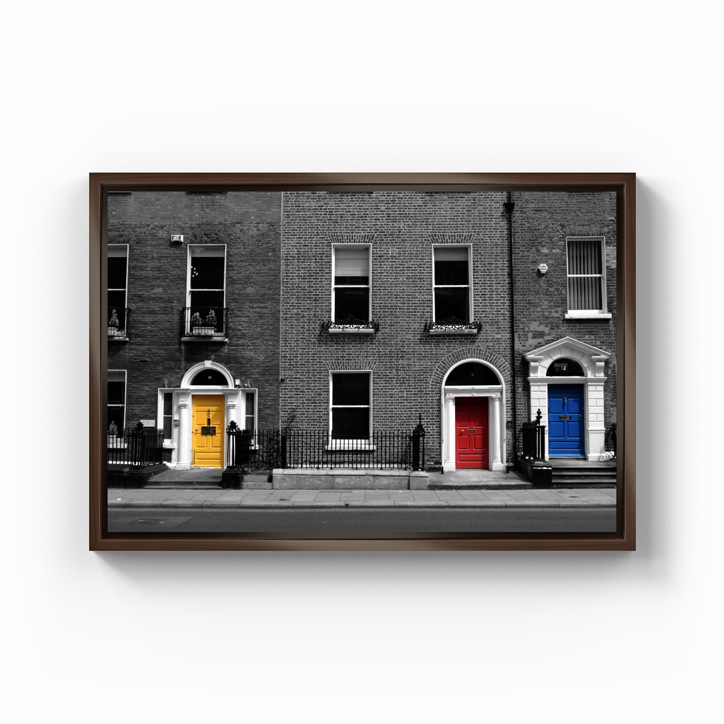 Georgian Doors - Canvas Print