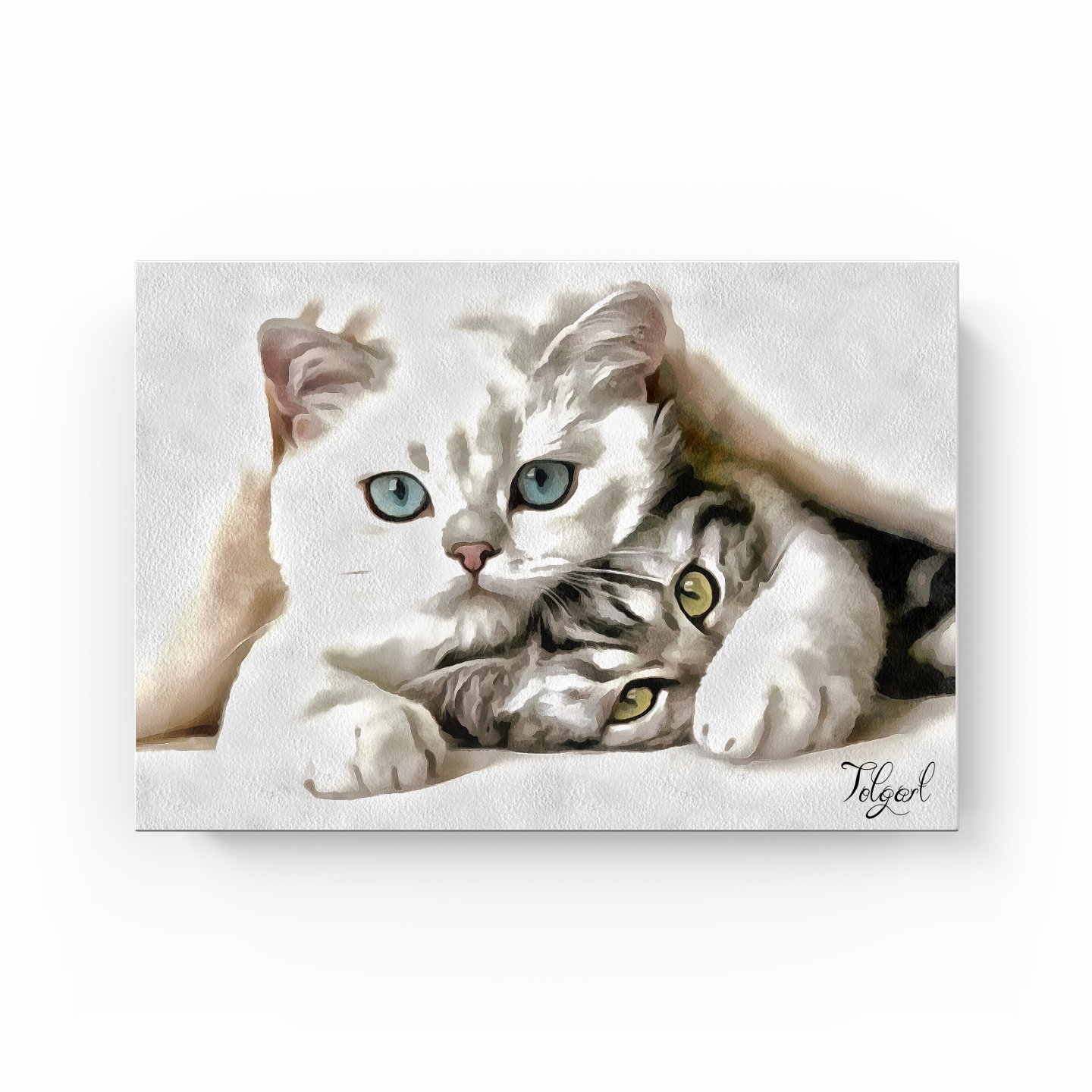 Cats - Canvas Painting