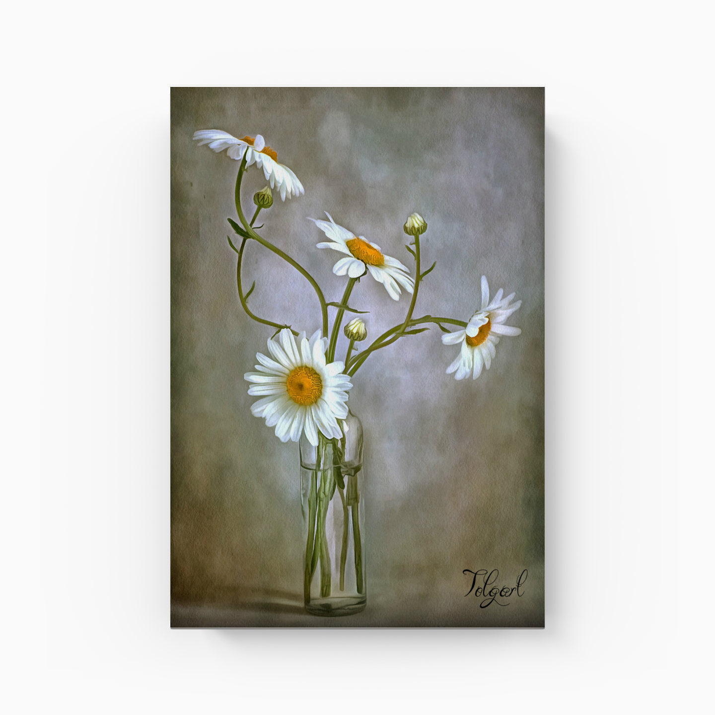 daisy - Canvas Painting