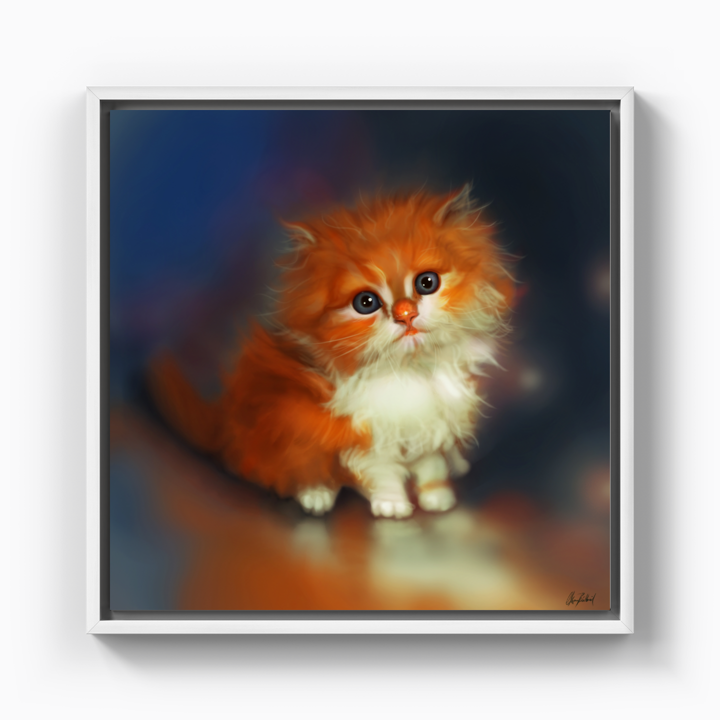 Kitten - Canvas Print