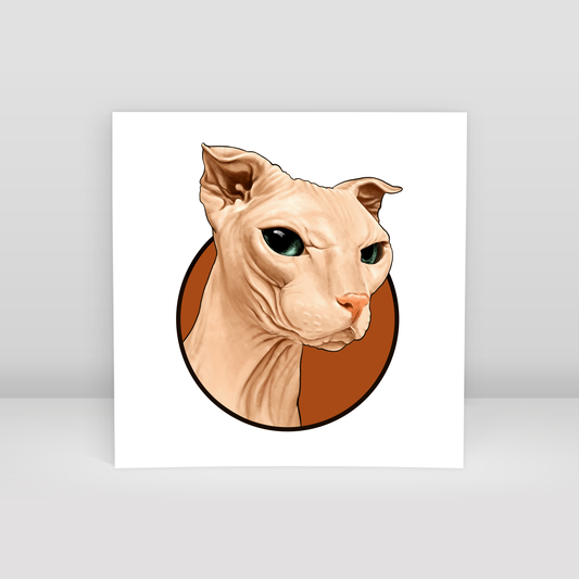 Sphynx cat - Art Print