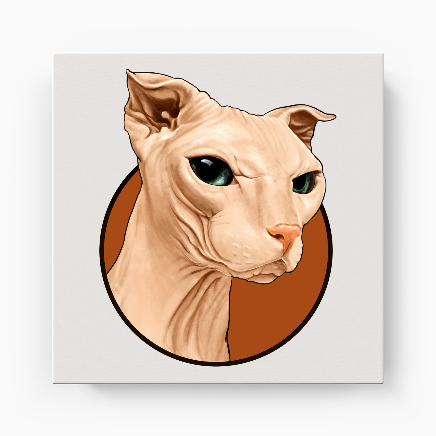 Sphynx cat - Canvas Print