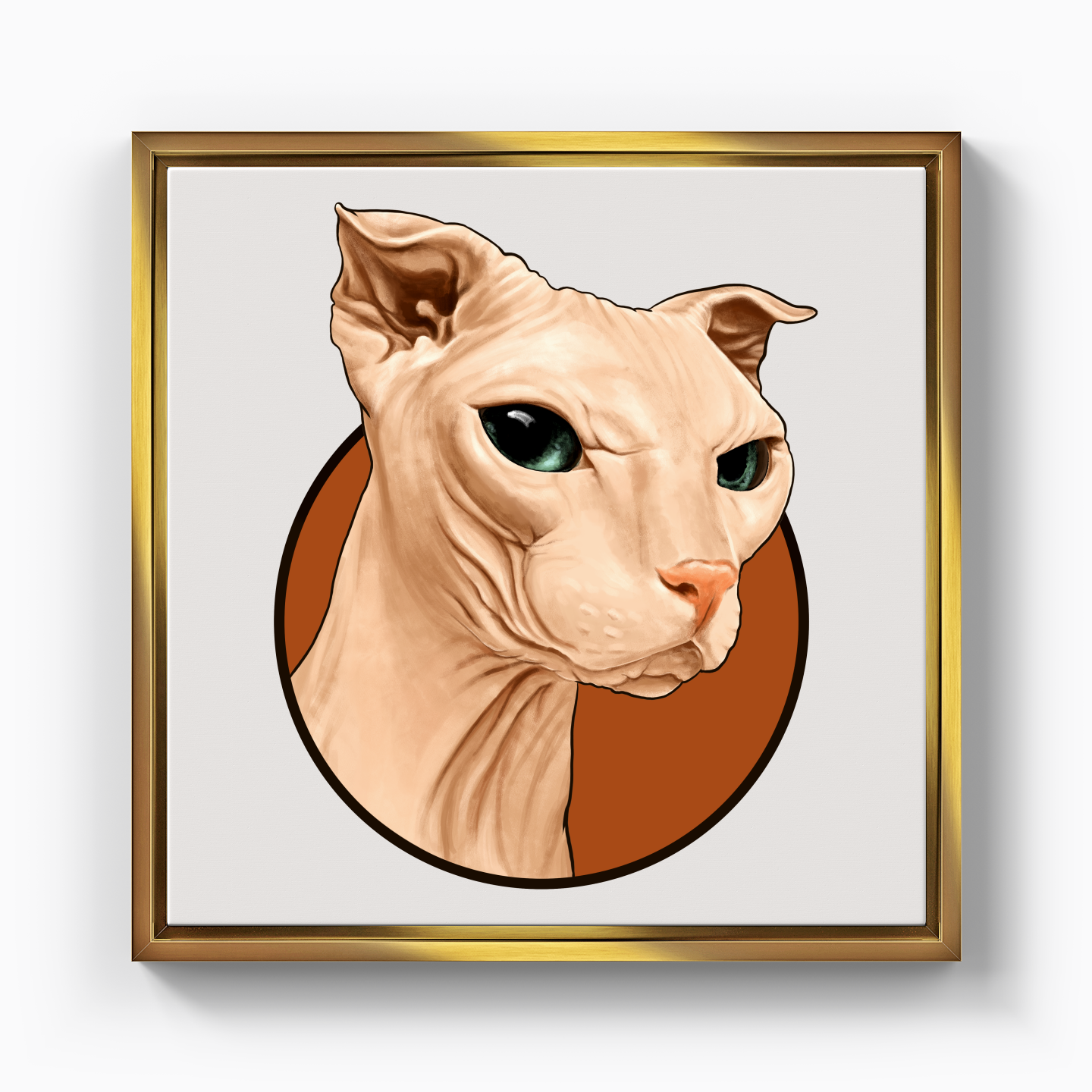 Sphynx cat - Canvas Print