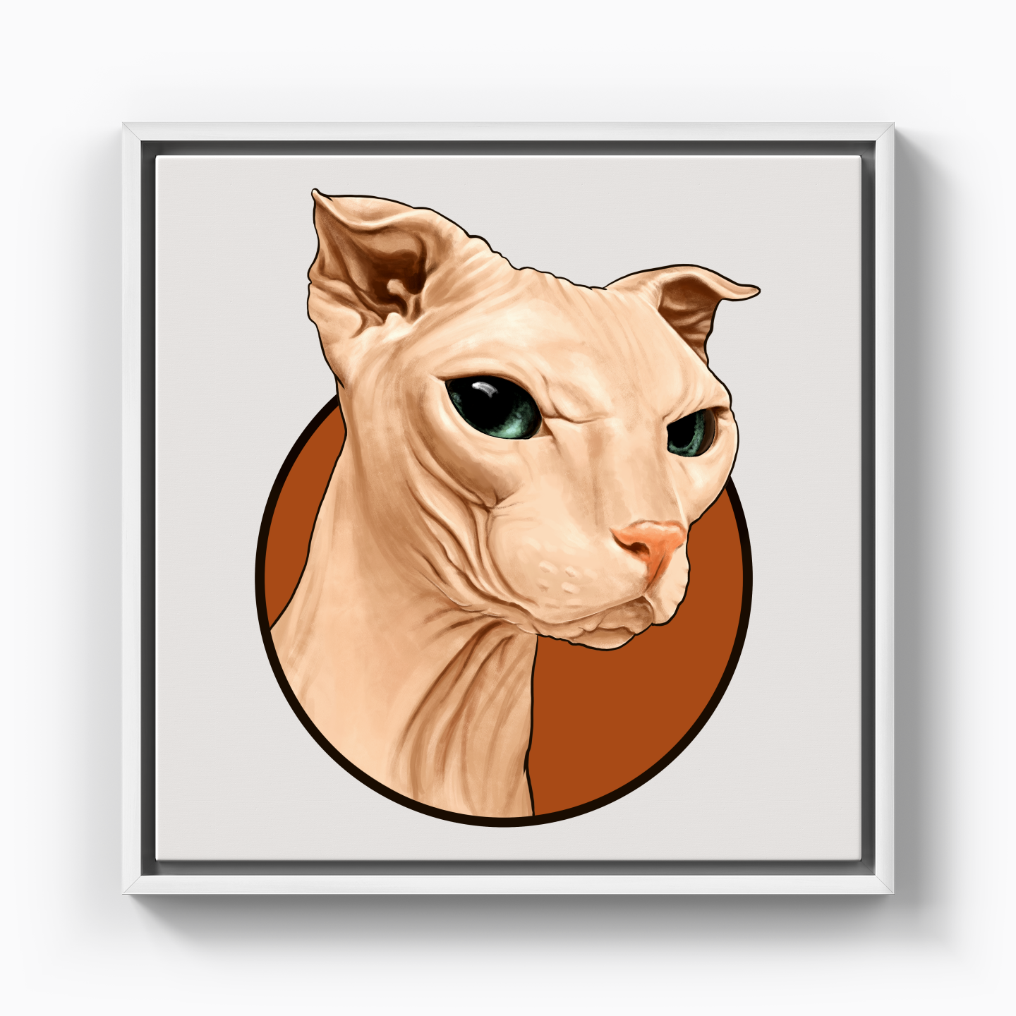 Sphynx cat - Canvas Print