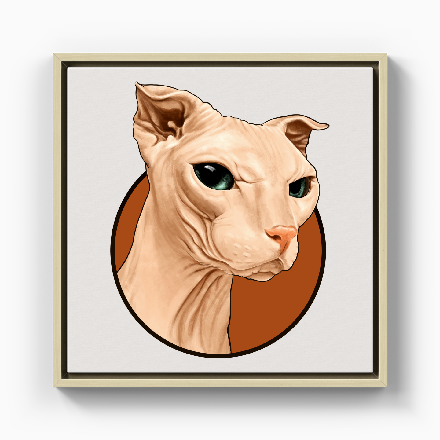 Sphynx cat - Canvas Print