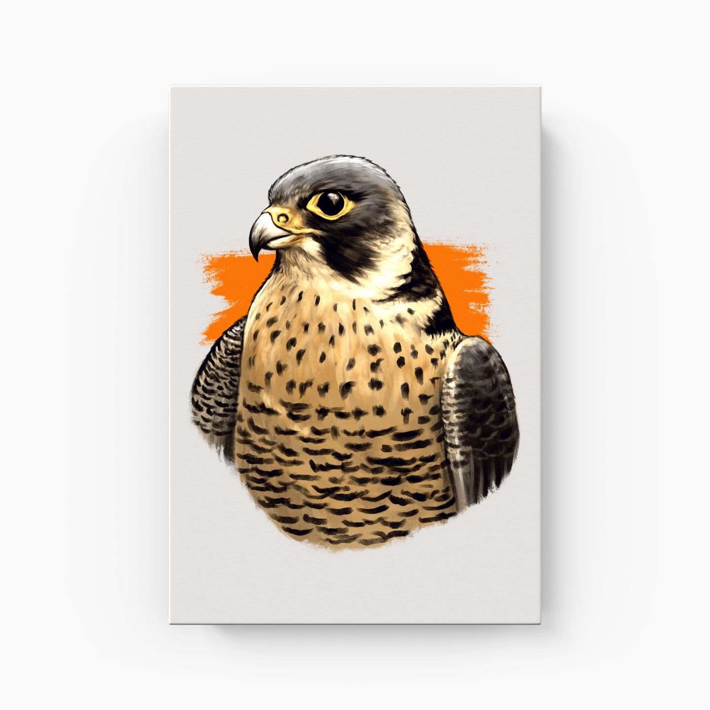 Falcon - Canvas Print