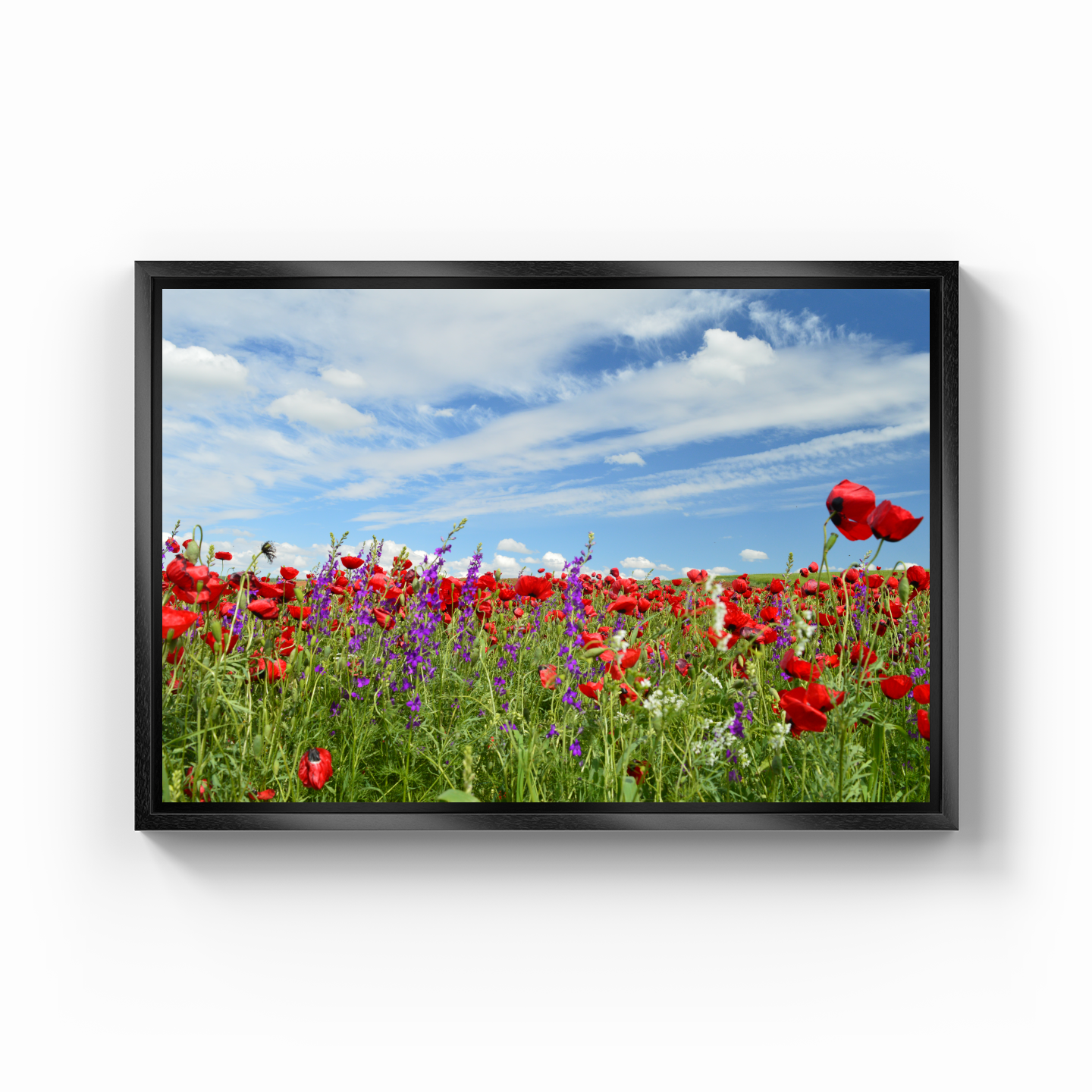 flowers poppies - Canvas Painting