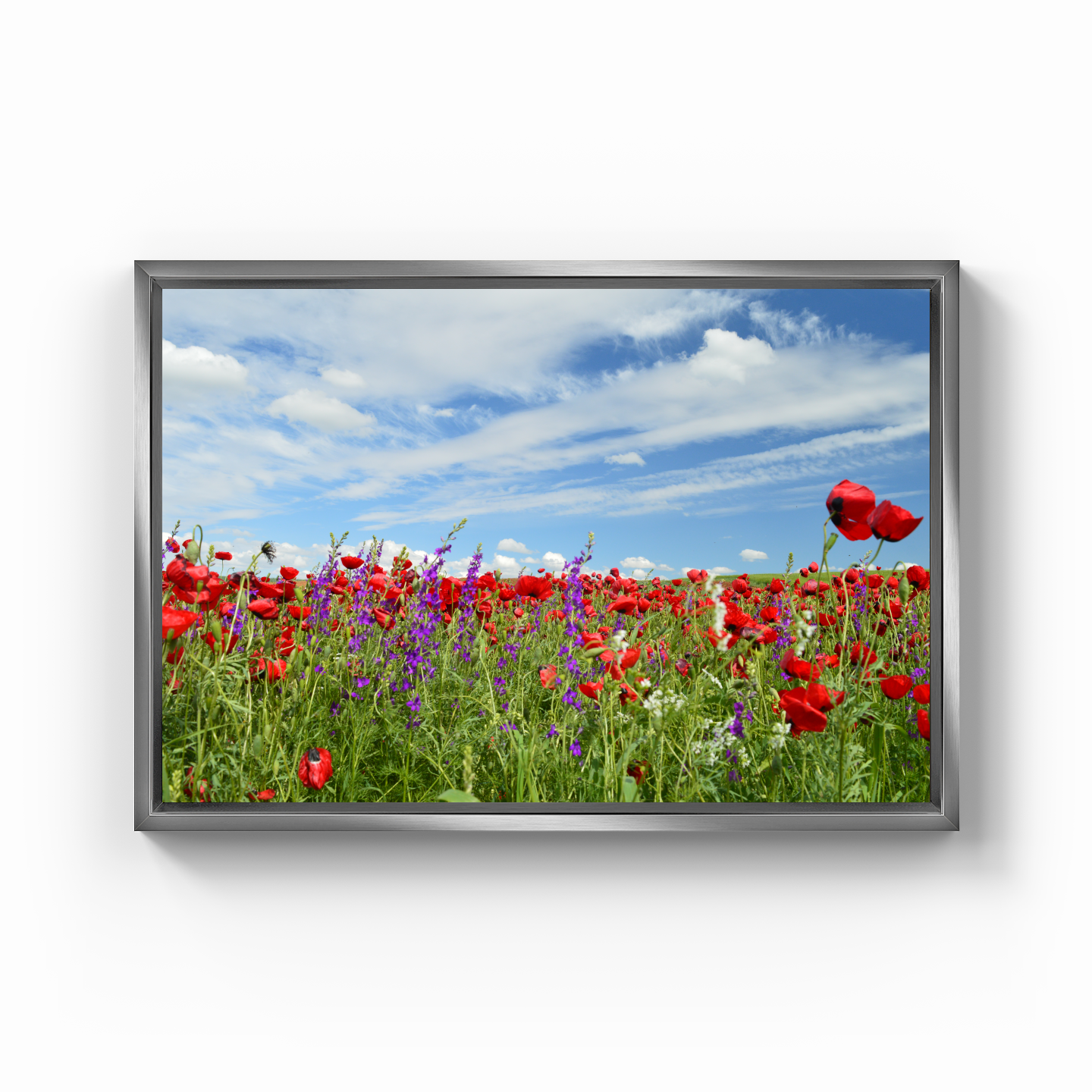 flowers poppies - Canvas Painting