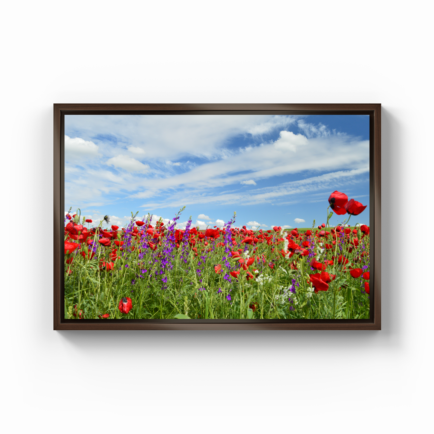 flowers poppies - Canvas Painting