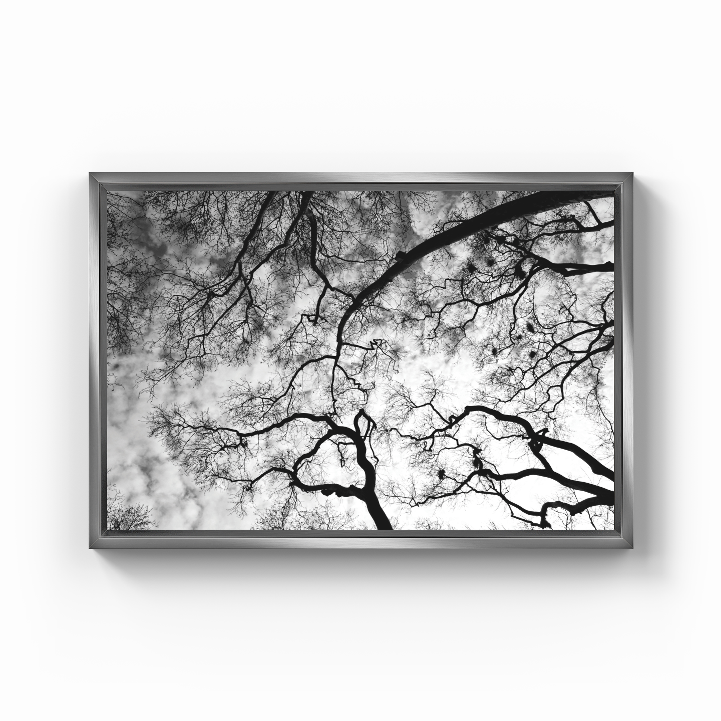 Trees - Canvas Painting