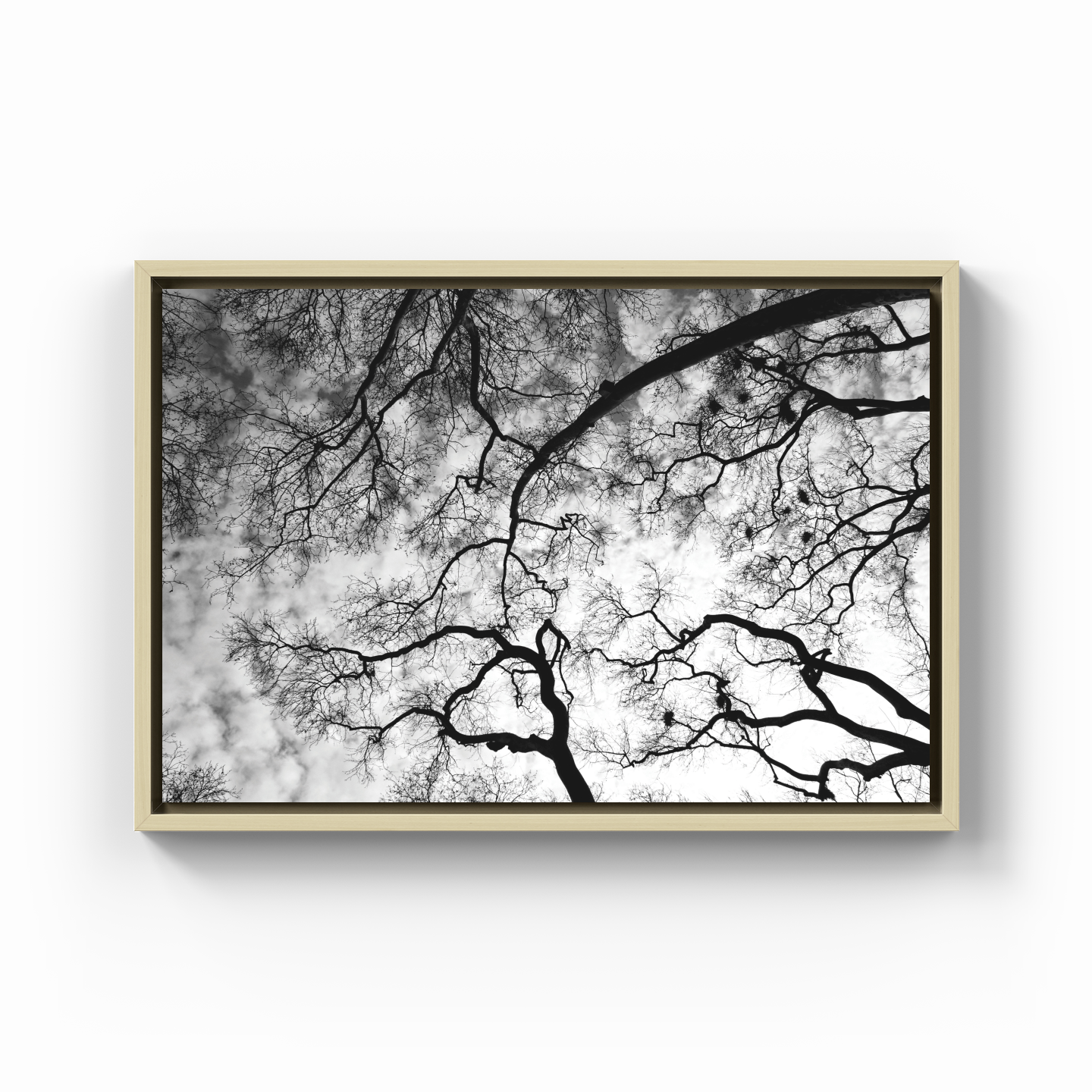 Trees - Canvas Painting