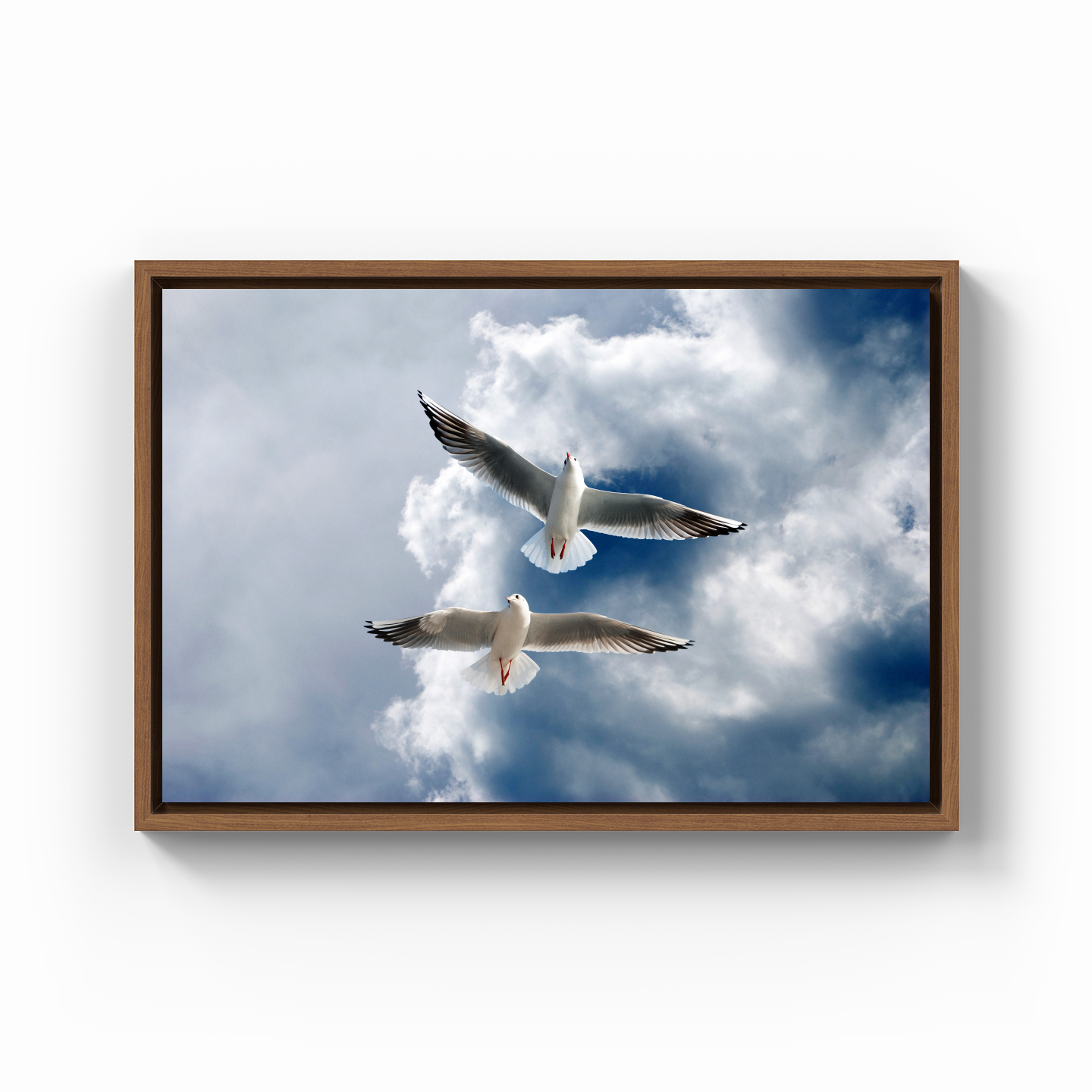 Seagulls - Canvas Painting