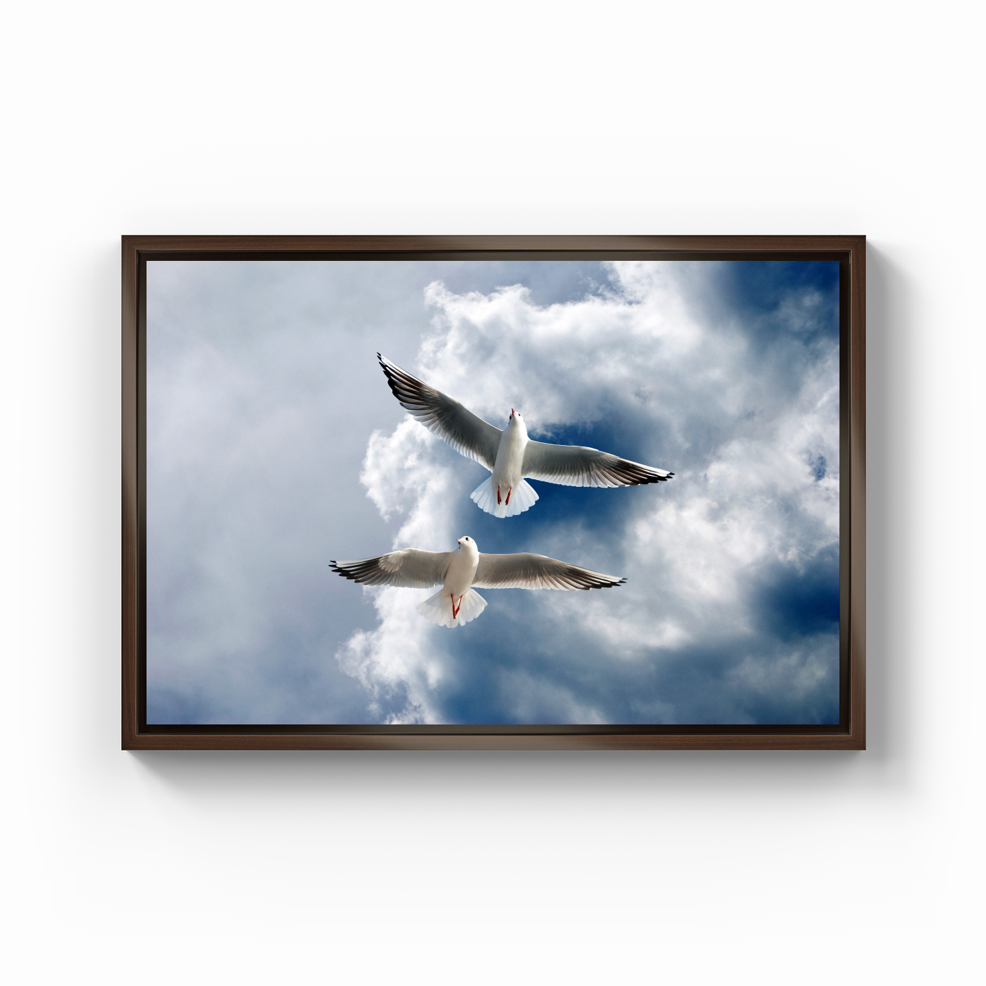 Seagulls - Canvas Painting