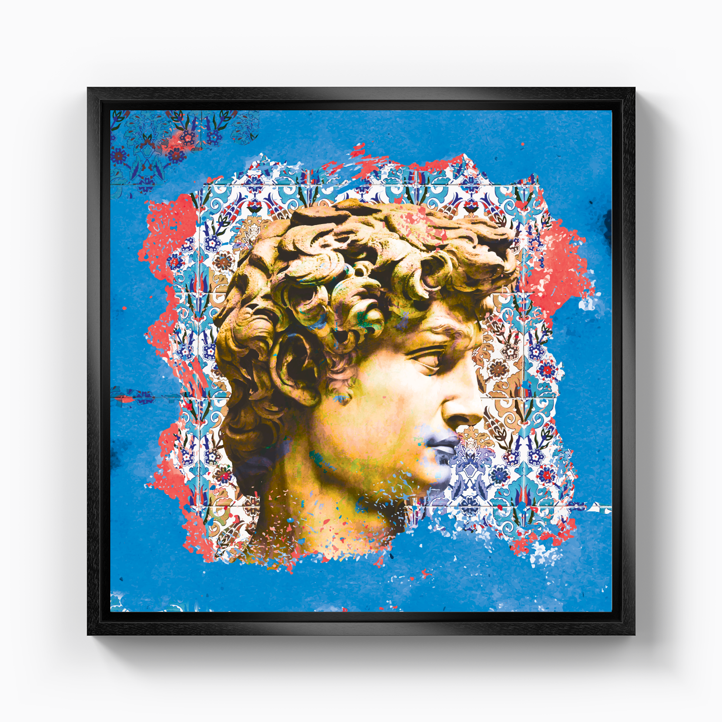 David - Canvas Print