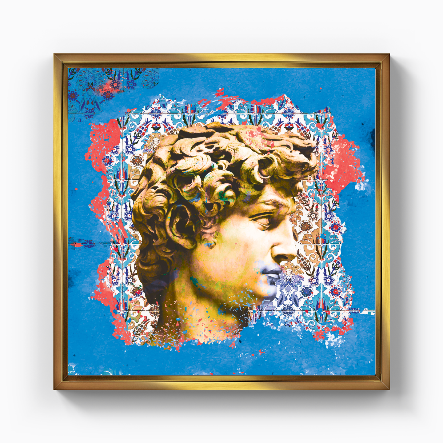 David - Canvas Print