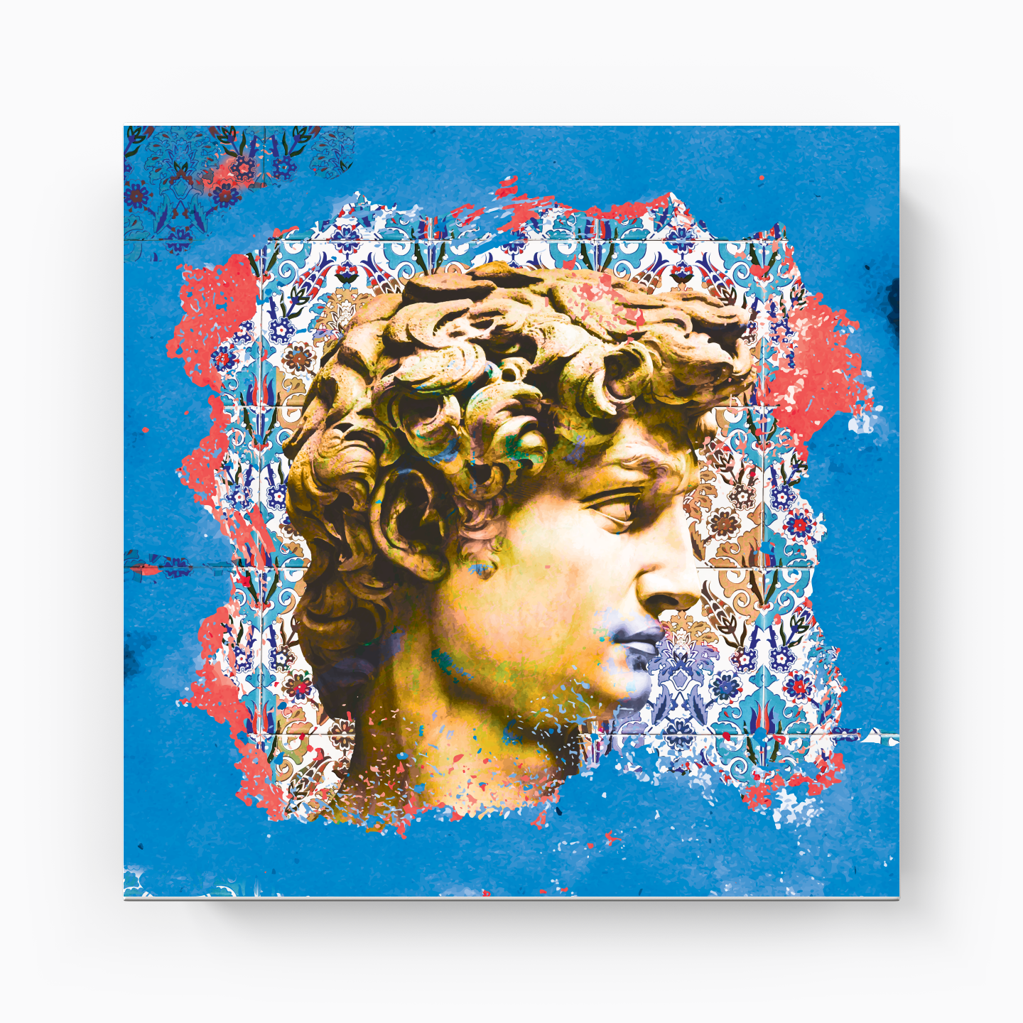 David - Canvas Print