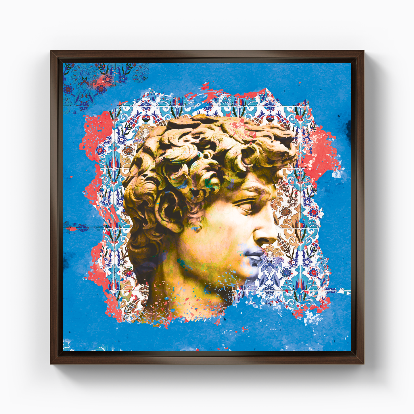 David - Canvas Print