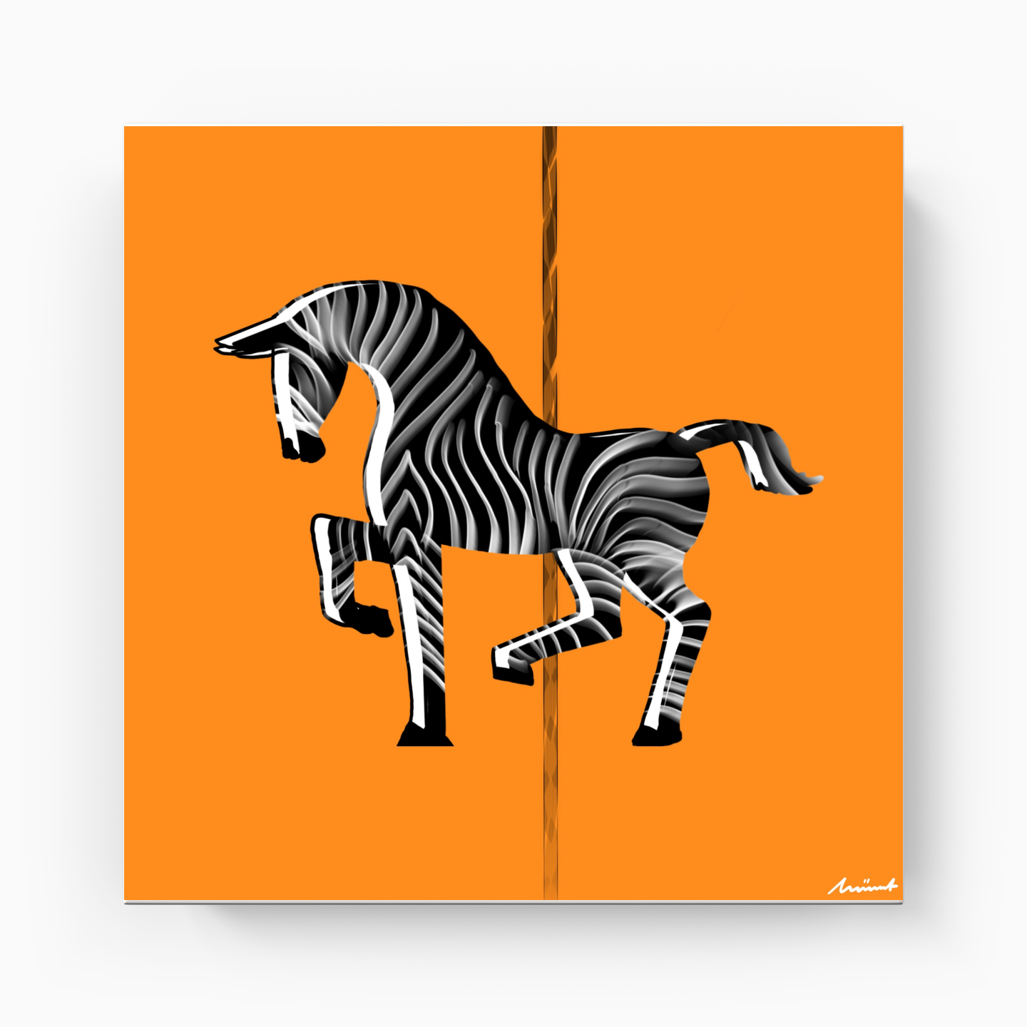 Zebra - Kanvas Tablo