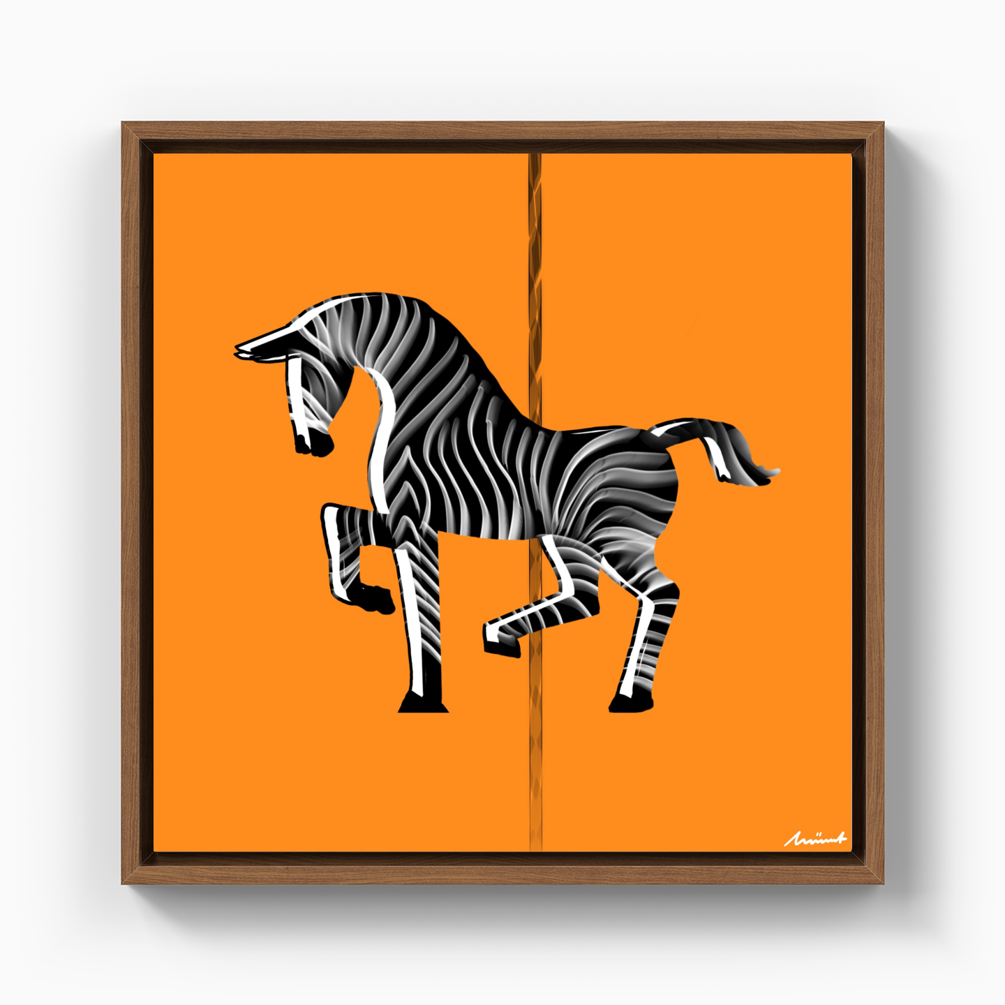 Zebra - Canvas Print