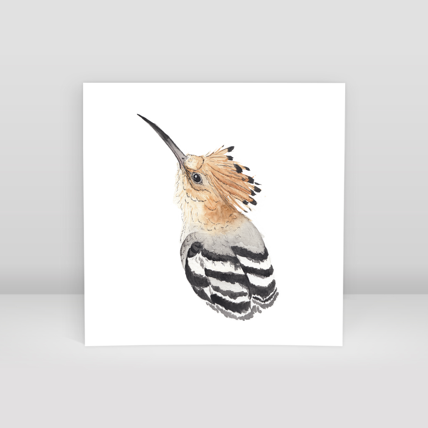 Hoopoe Bird - Art Print