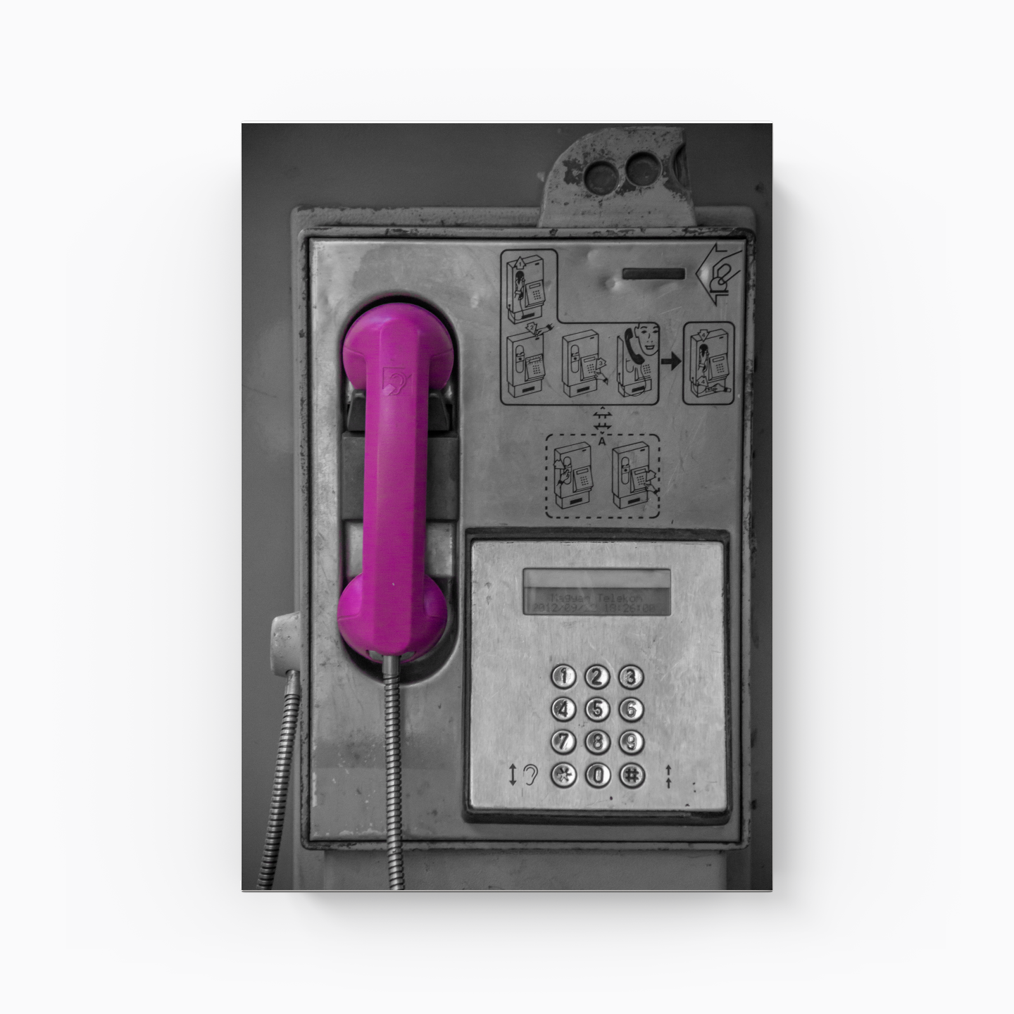 PinkoPhone - Canvas Print