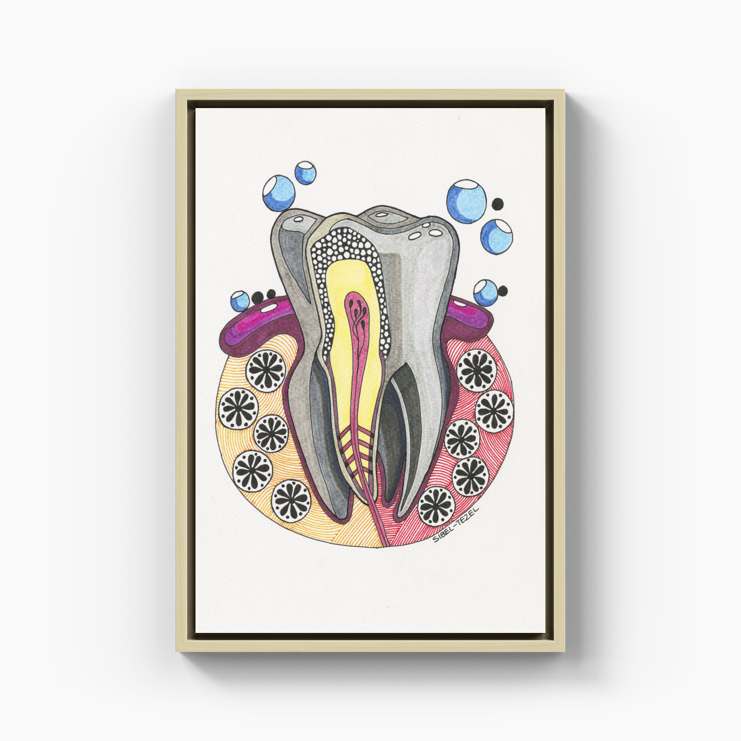 tooth anatomy - Kanvas Tablo