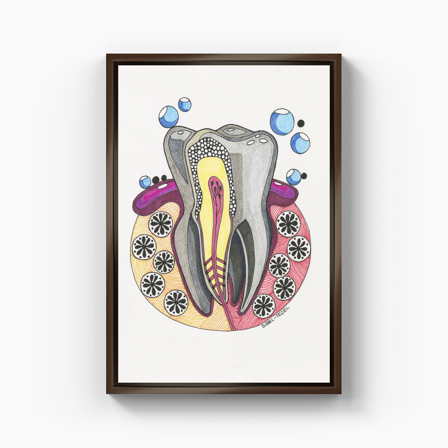 tooth anatomy - Kanvas Tablo